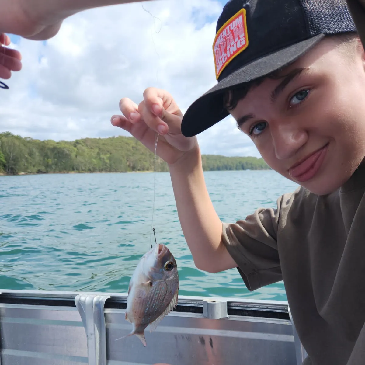 The most recent Australasian snapper catches on Fishbrain