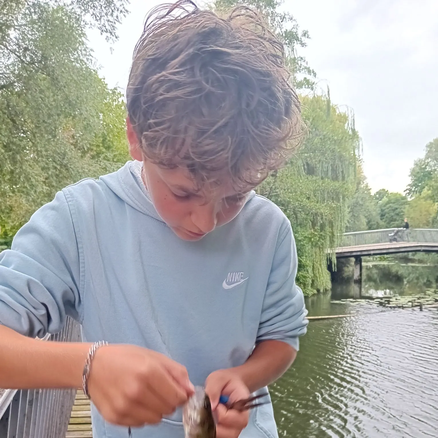 European perch caught on Fishbrain