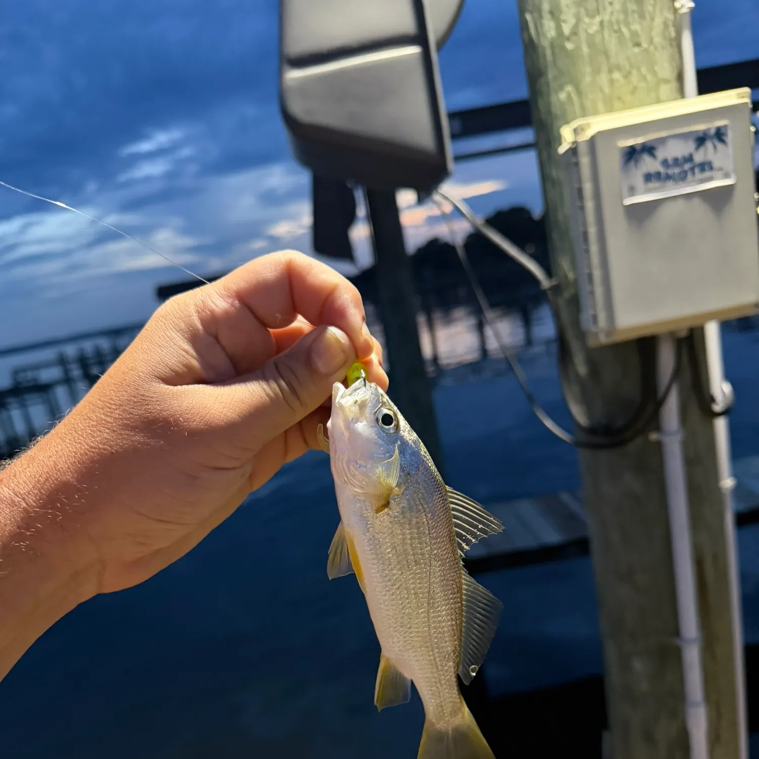 catch