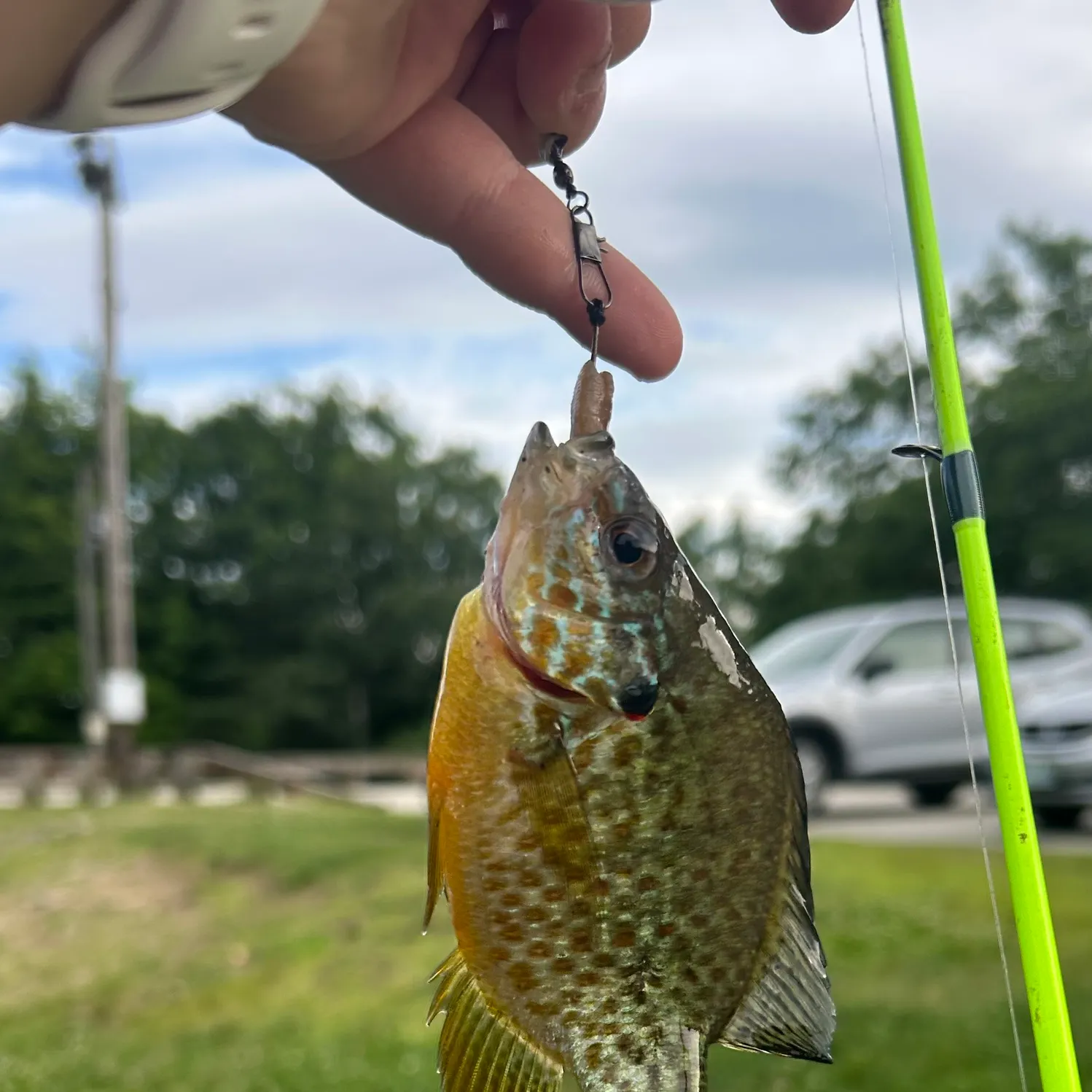 catch