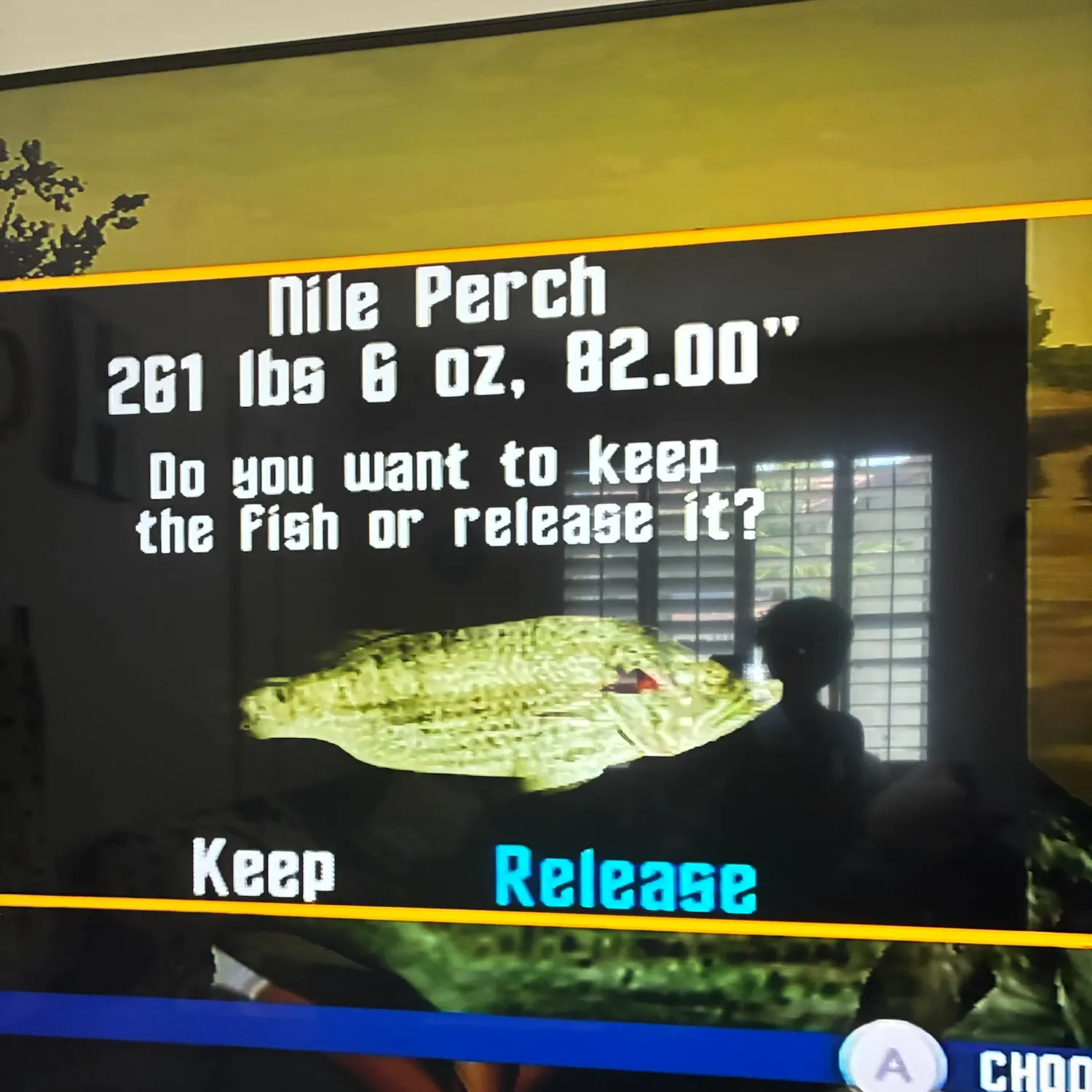 The most recent Nile perch catches on Fishbrain