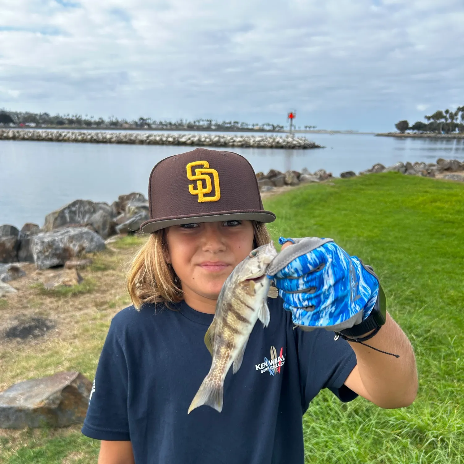 Barred sand bass caught on Fishbrain