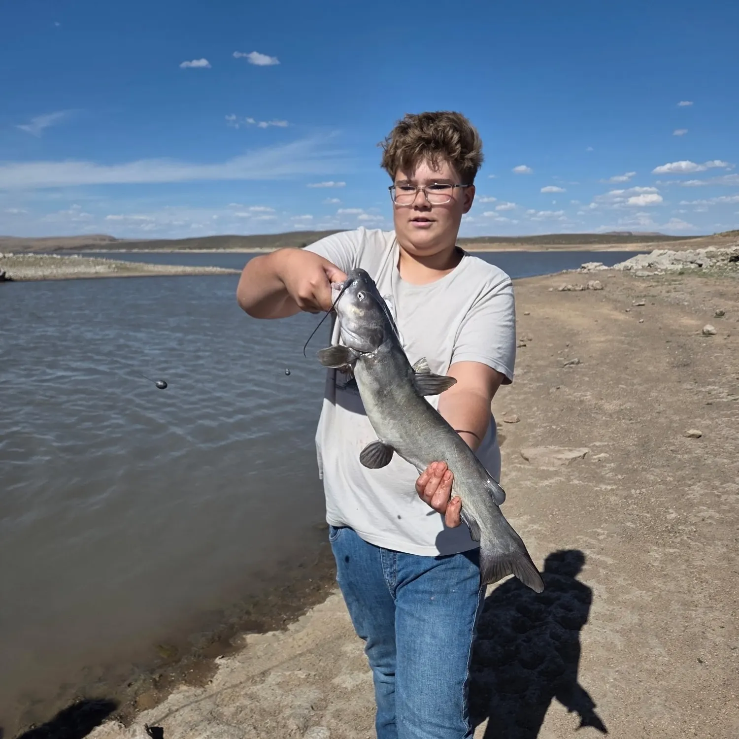 Channel catfish caught on Fishbrain