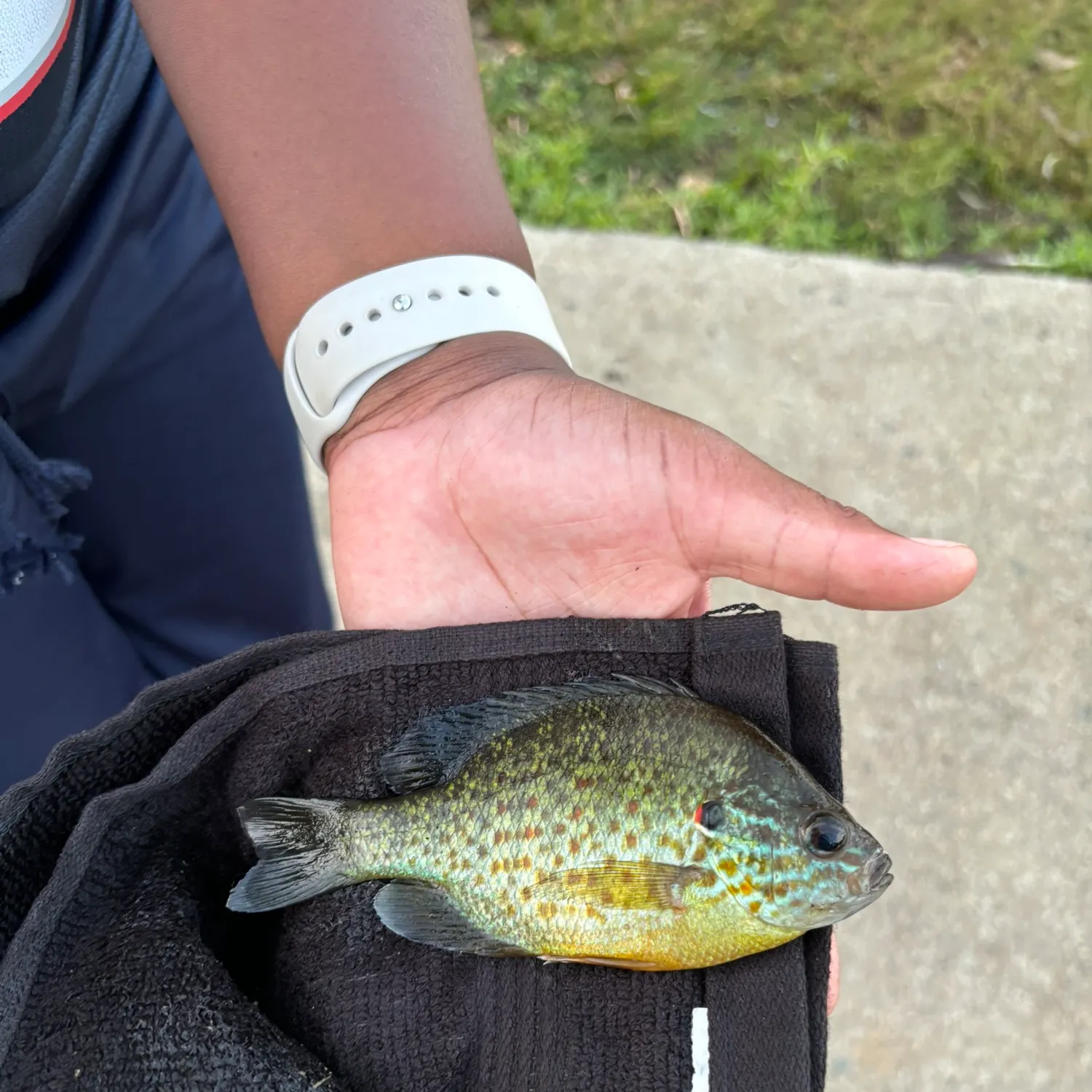 catch