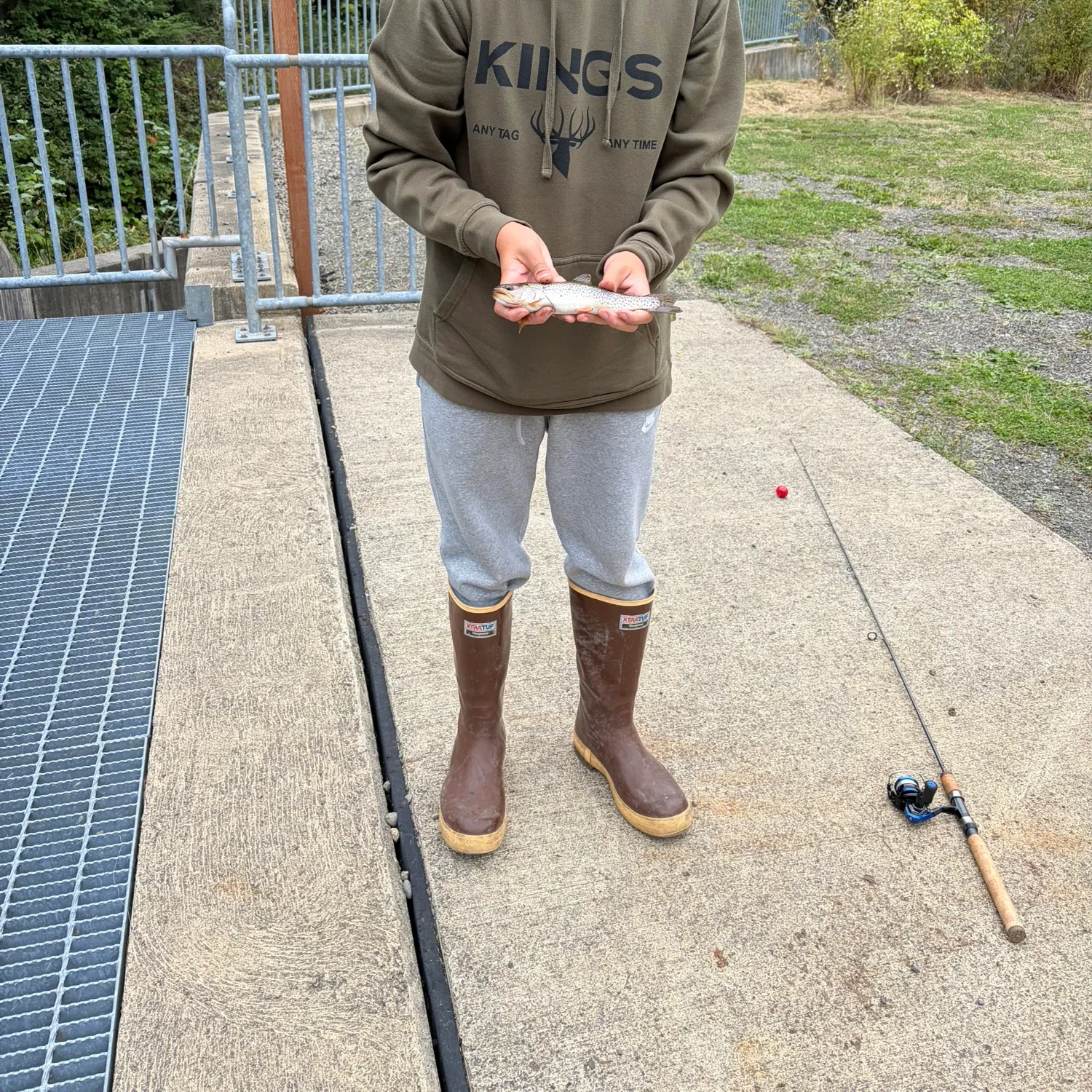 Cutthroat trout caught on Fishbrain