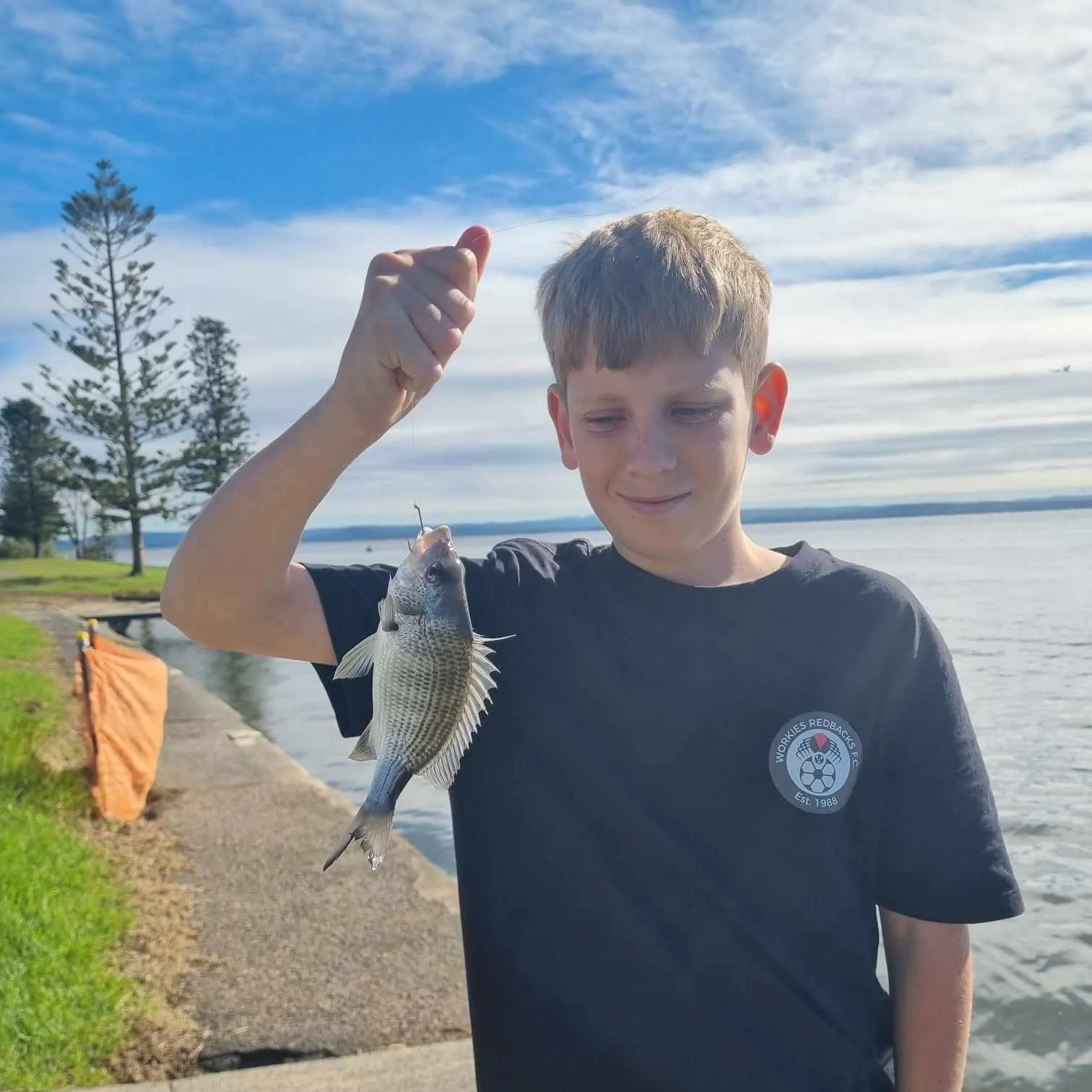 The most recent Surf bream catches on Fishbrain
