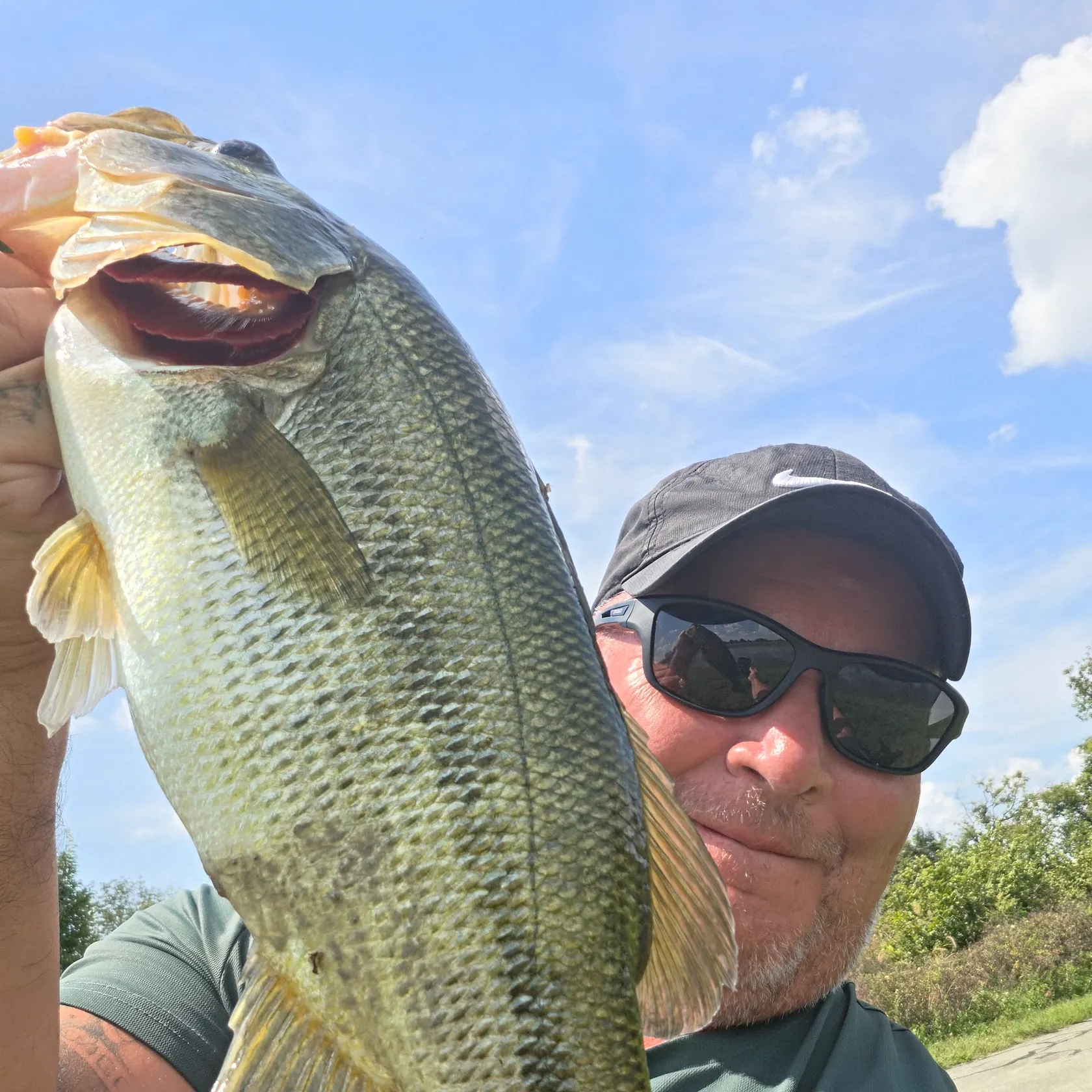 Largemouth bass caught on Fishbrain