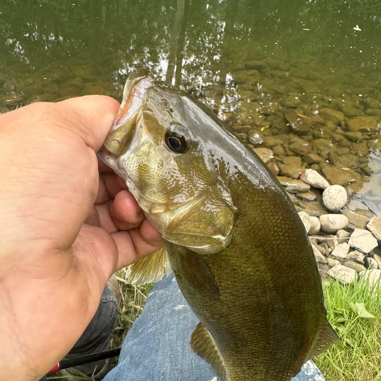 angler catch