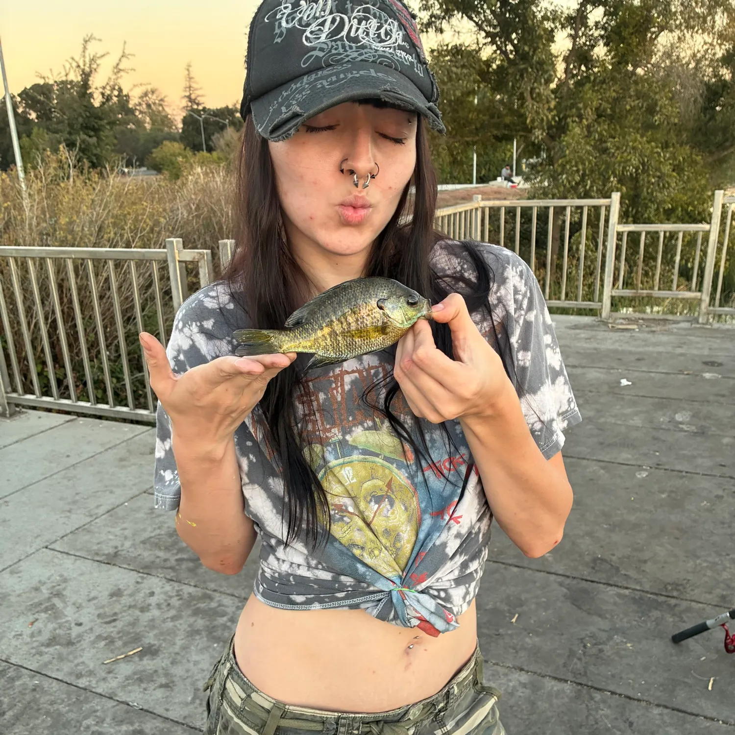 Bluegill caught on Fishbrain