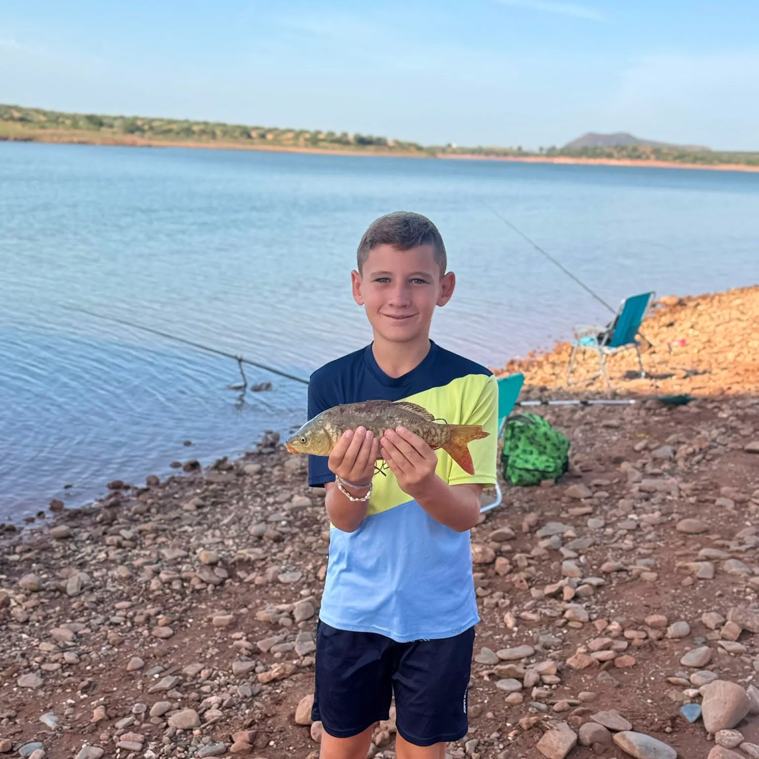 Common carp caught on Fishbrain