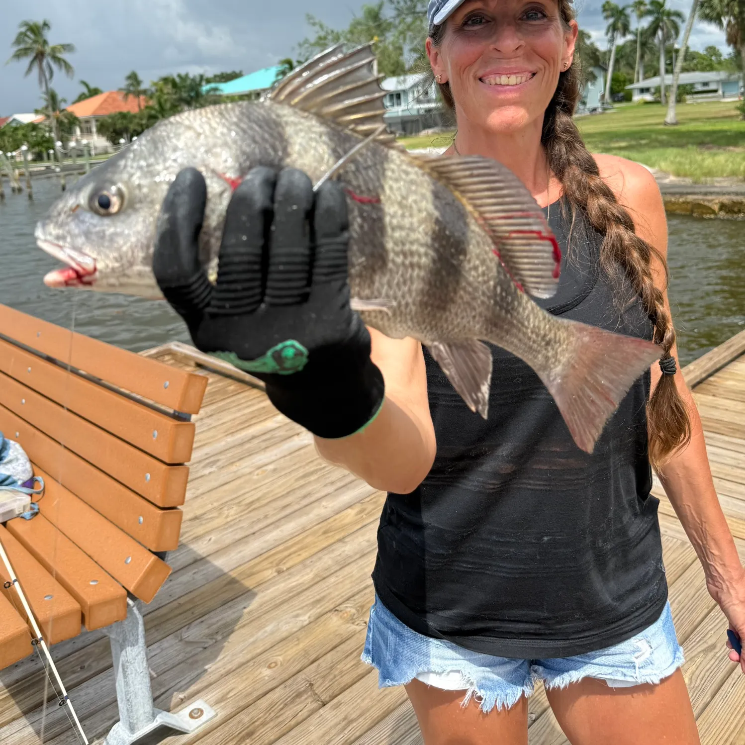 Black drum caught on Fishbrain
