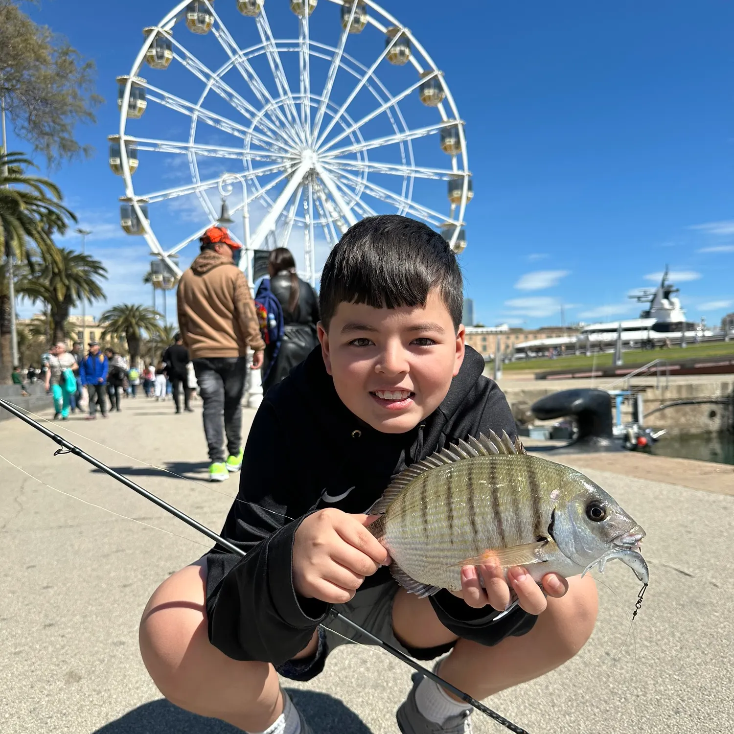The most recent White seabream catches on Fishbrain