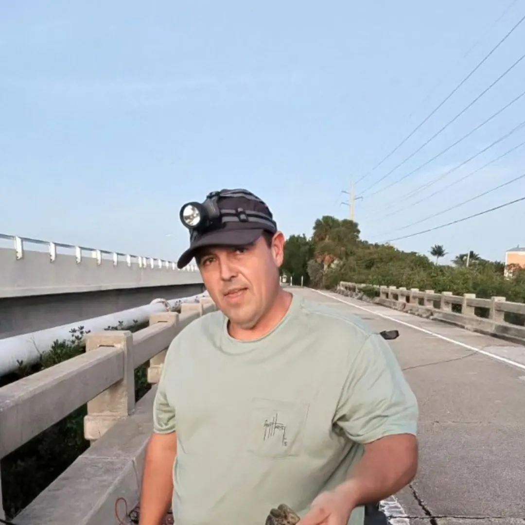 The most recent Atlantic goliath grouper catches on Fishbrain