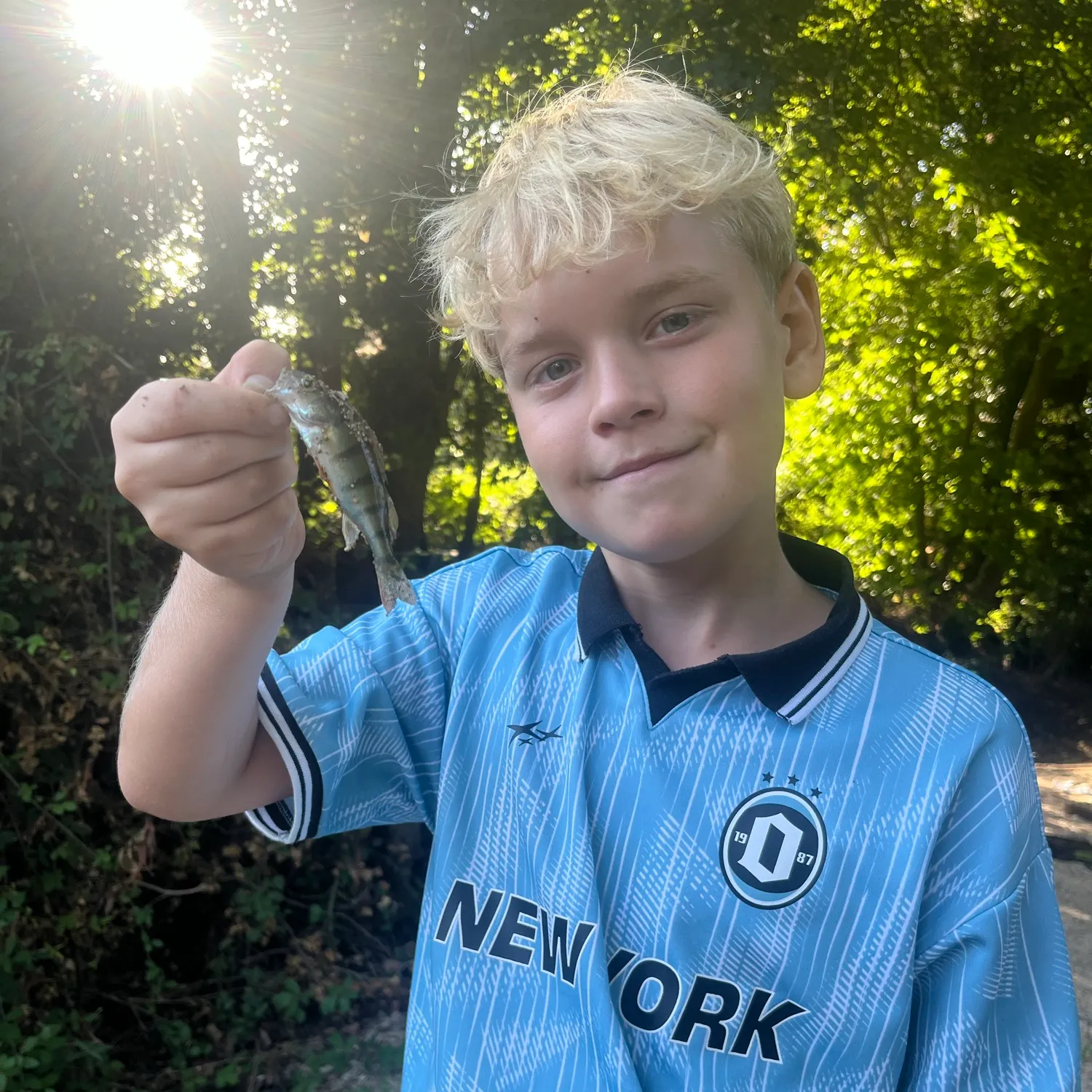 European perch caught on Fishbrain