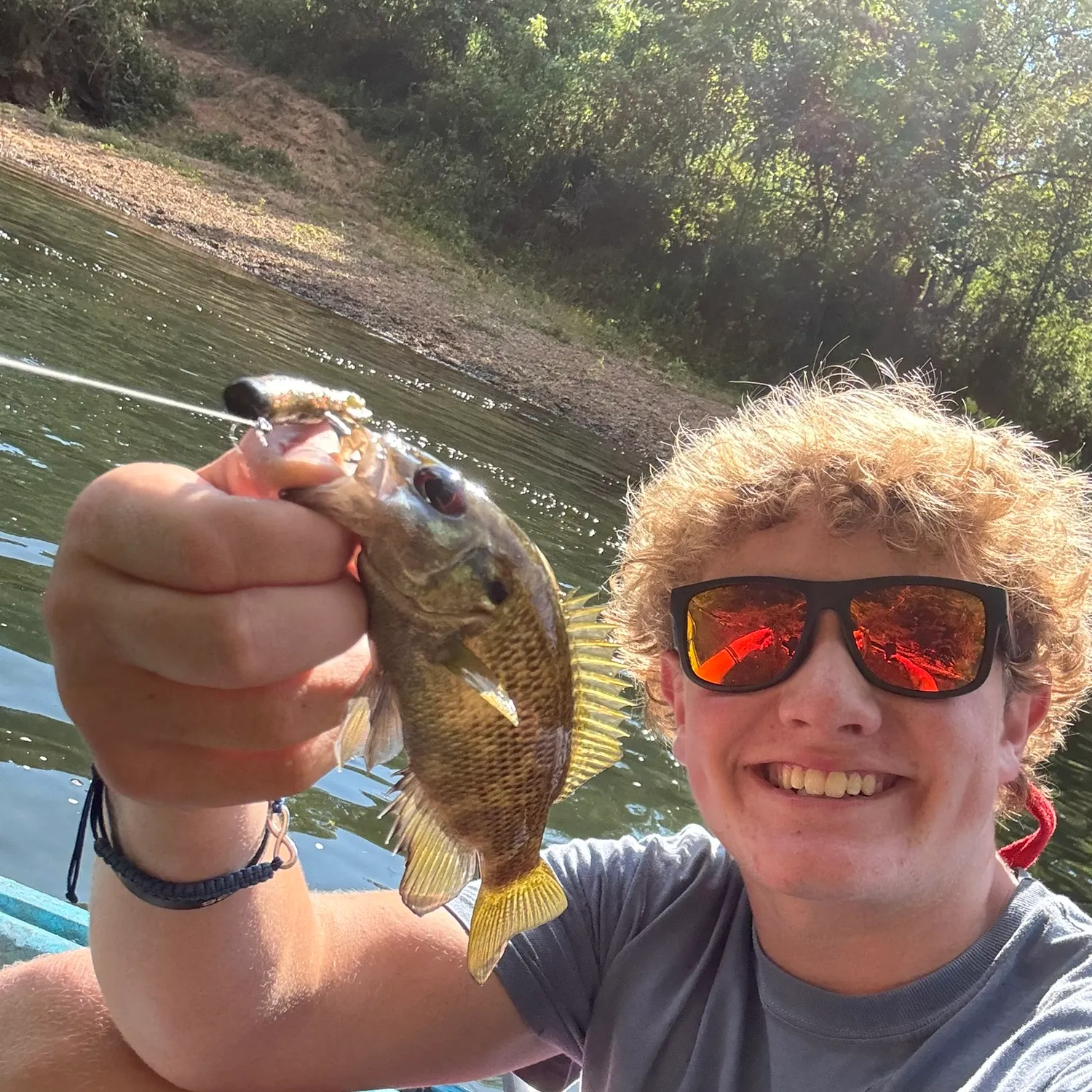 Rock bass caught on Fishbrain