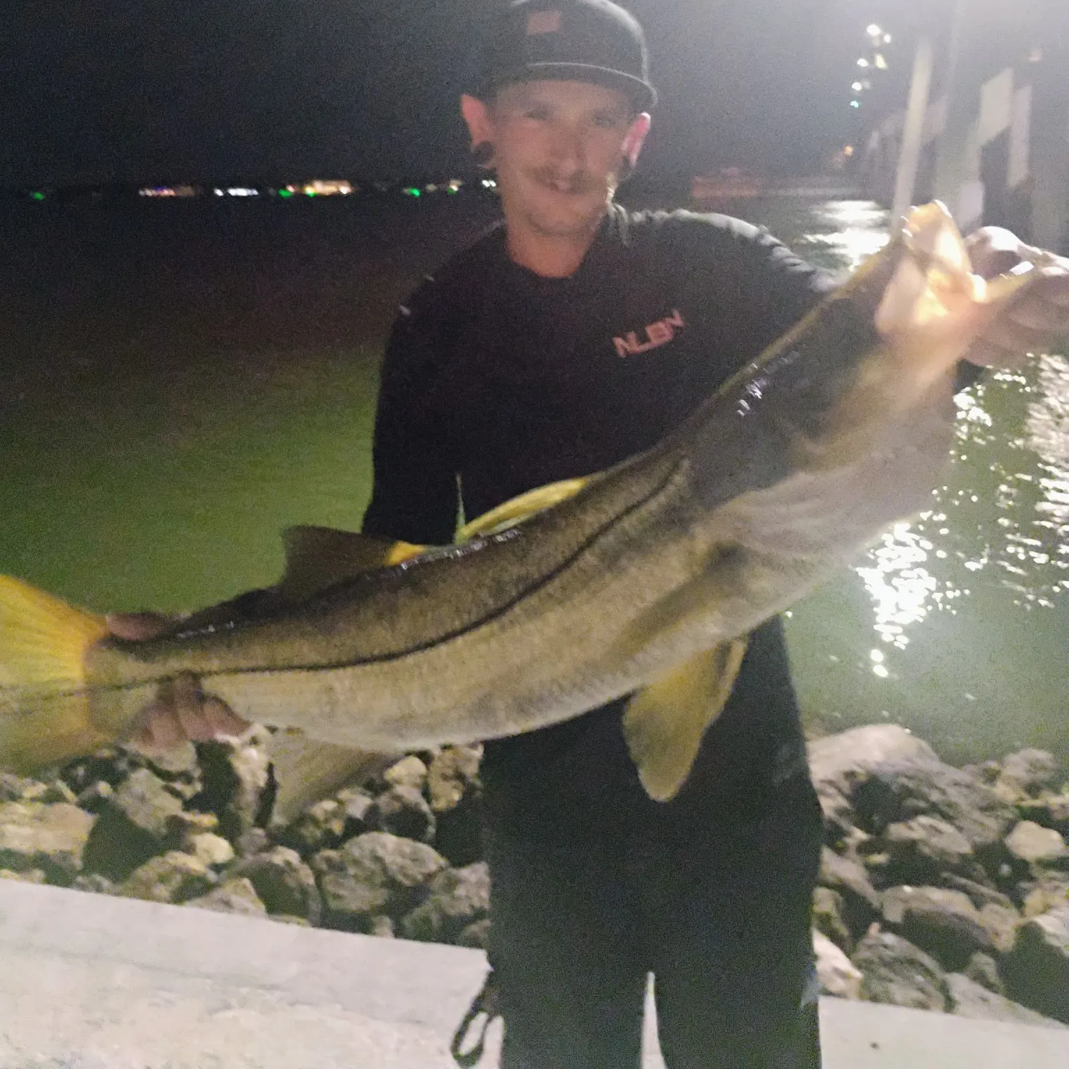 Common snook caught on Fishbrain