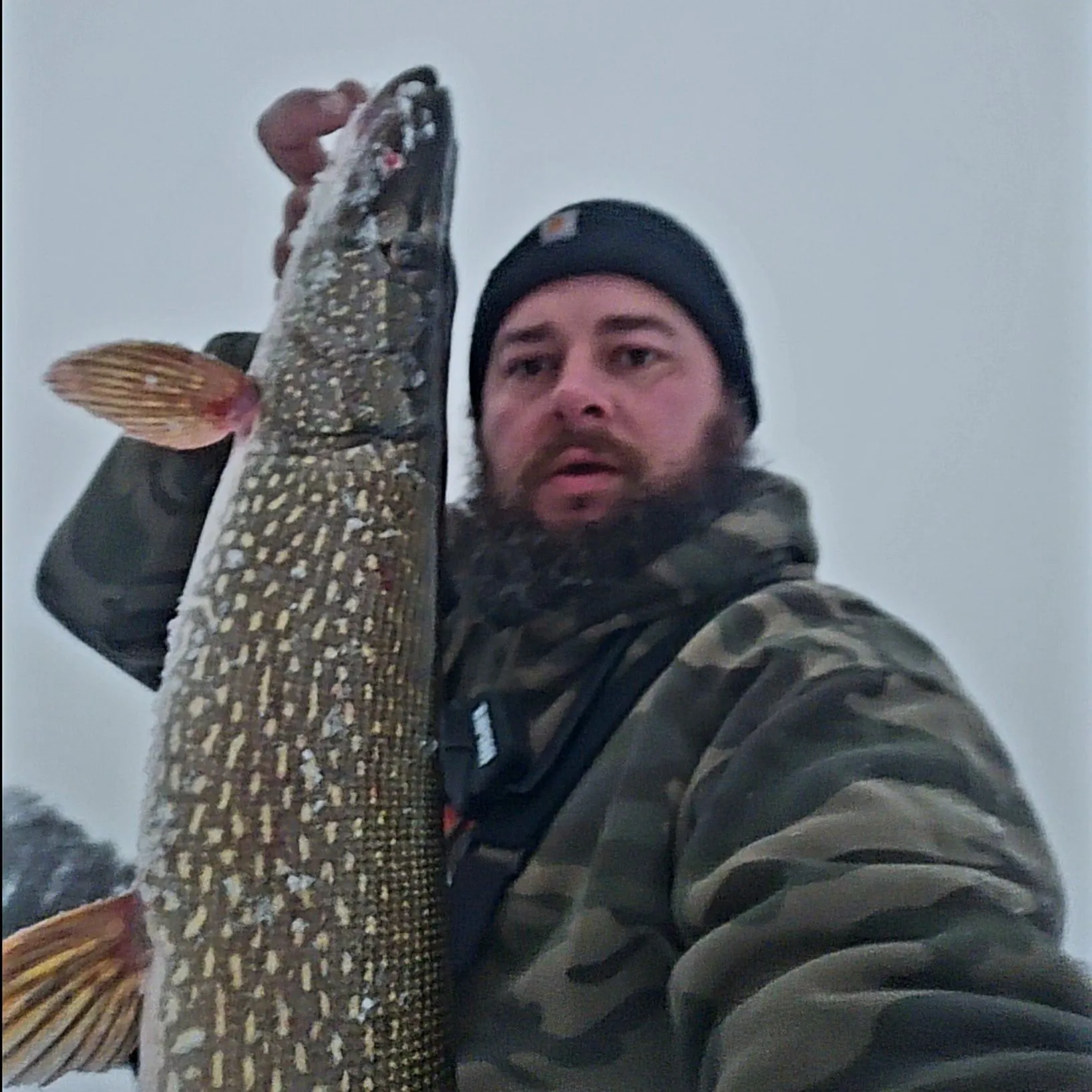 The most recent Northern pike catches on Fishbrain