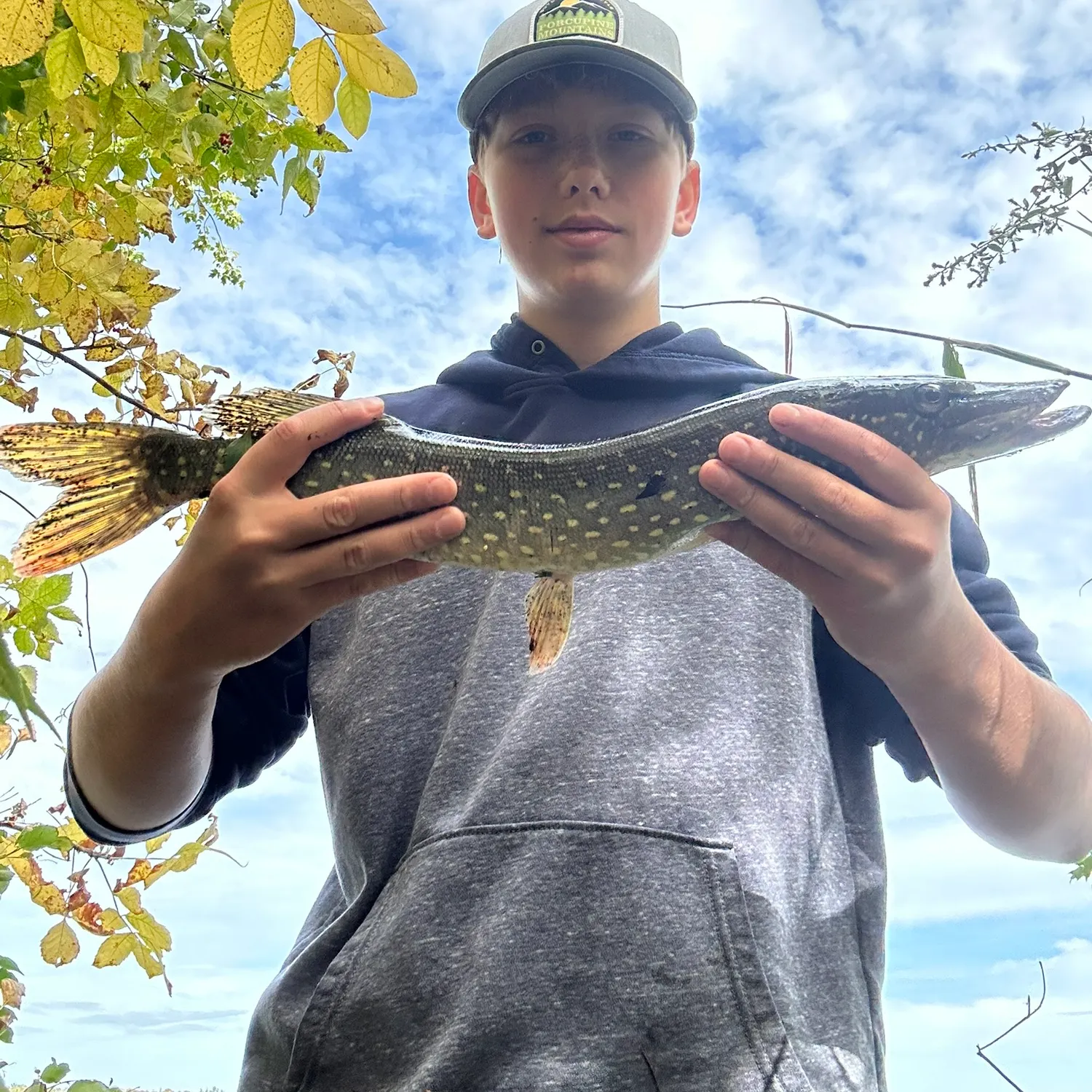 Northern pike caught on Fishbrain