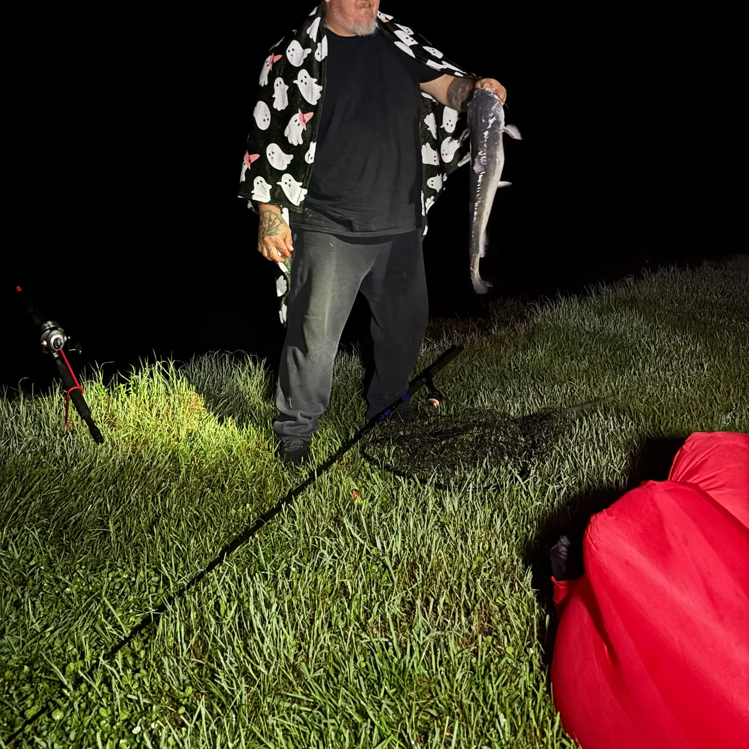 Channel catfish caught on Fishbrain