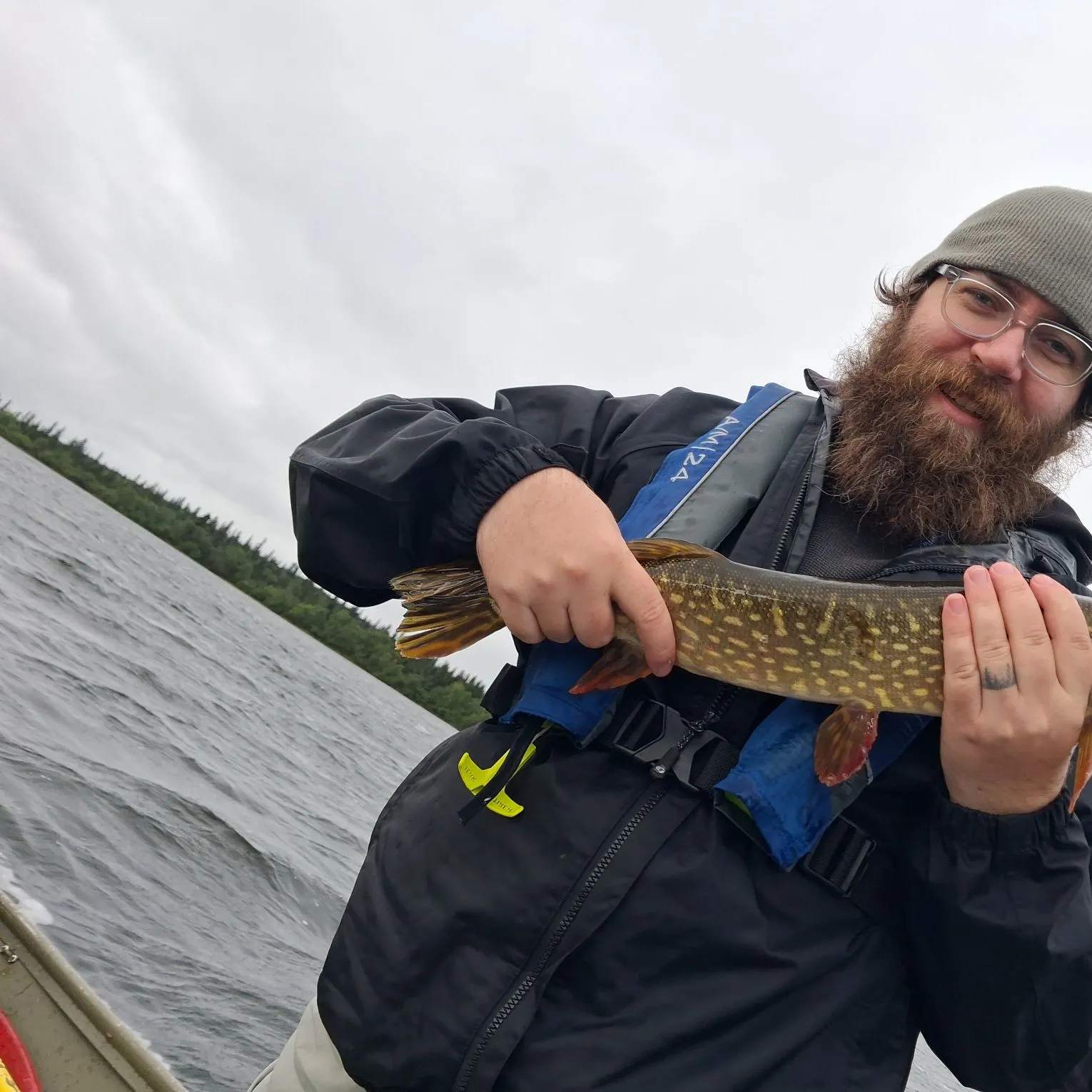 Northern pike caught on Fishbrain