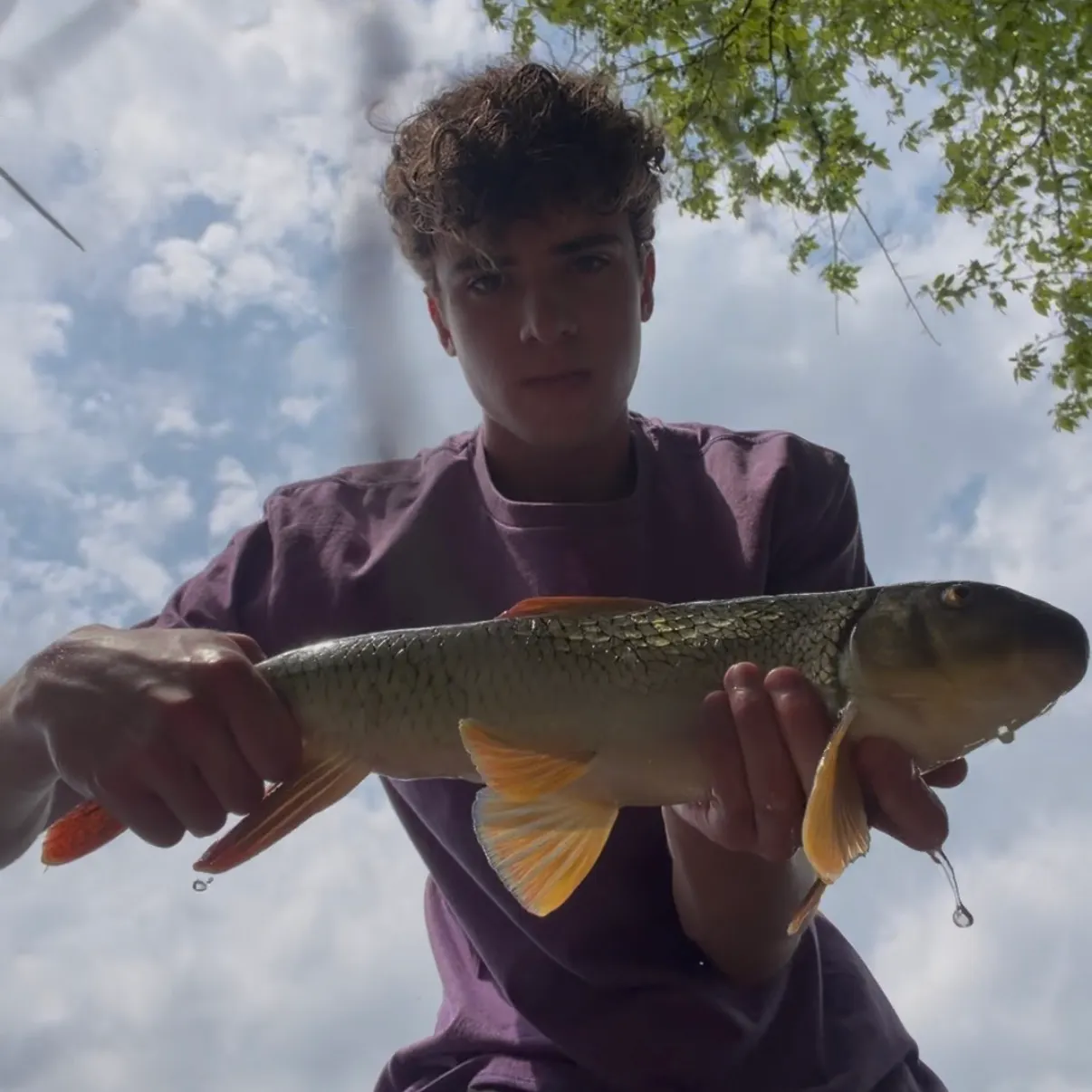 The most recent Shorthead redhorse catches on Fishbrain