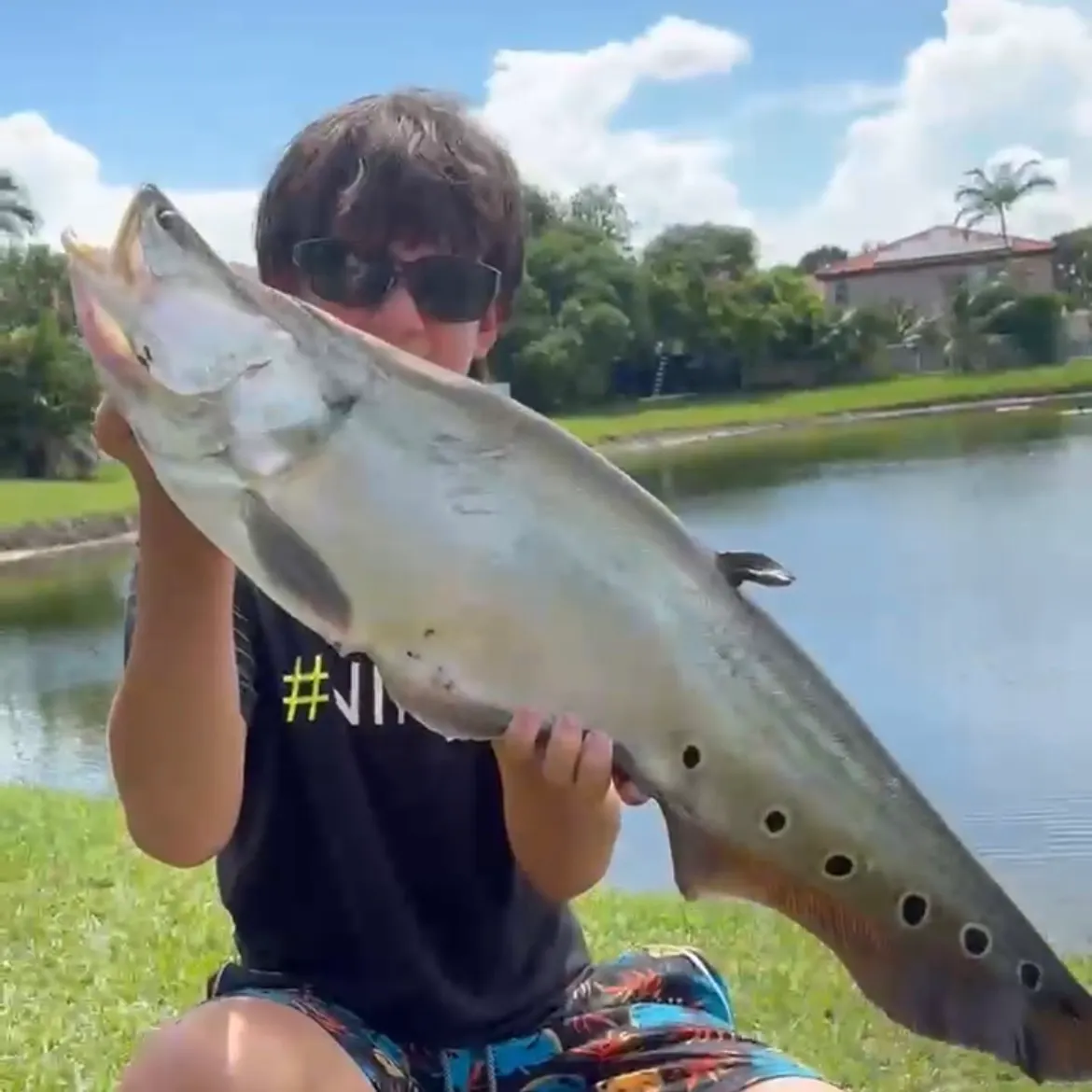 The most recent Clown knifefish catches on Fishbrain