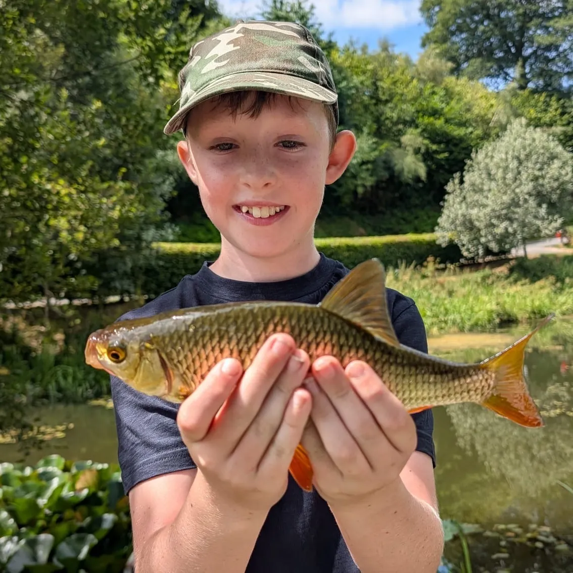 The most recent Common roach catches on Fishbrain