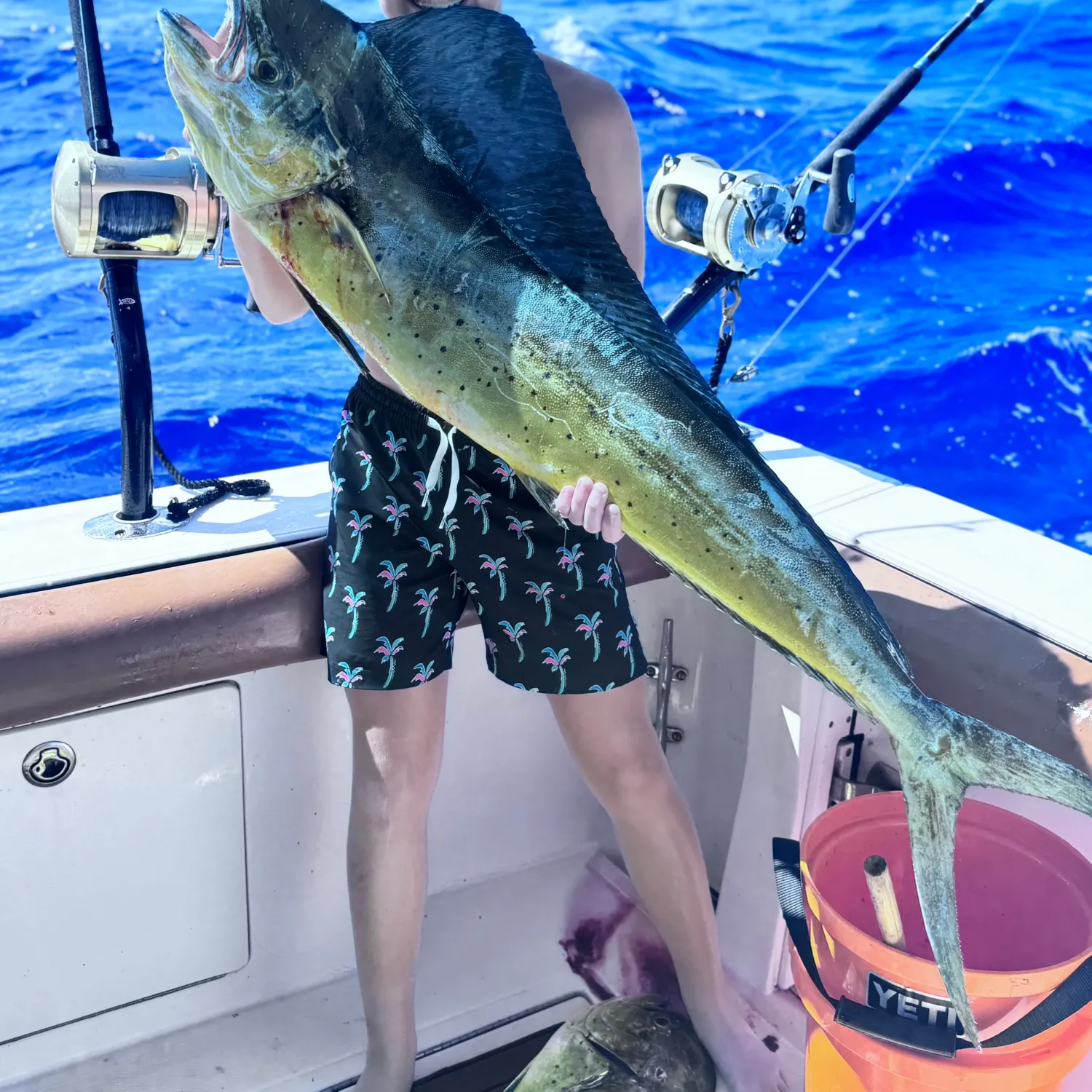 most liked catch image