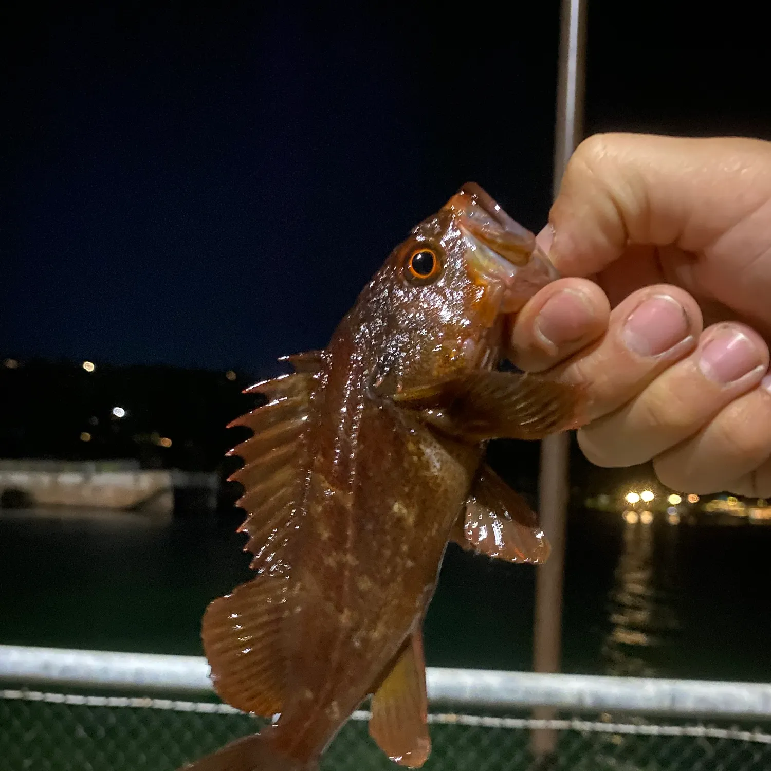 catch