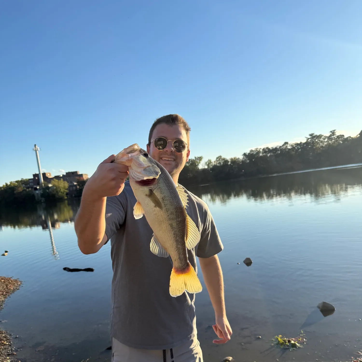 Largemouth bass caught on Fishbrain
