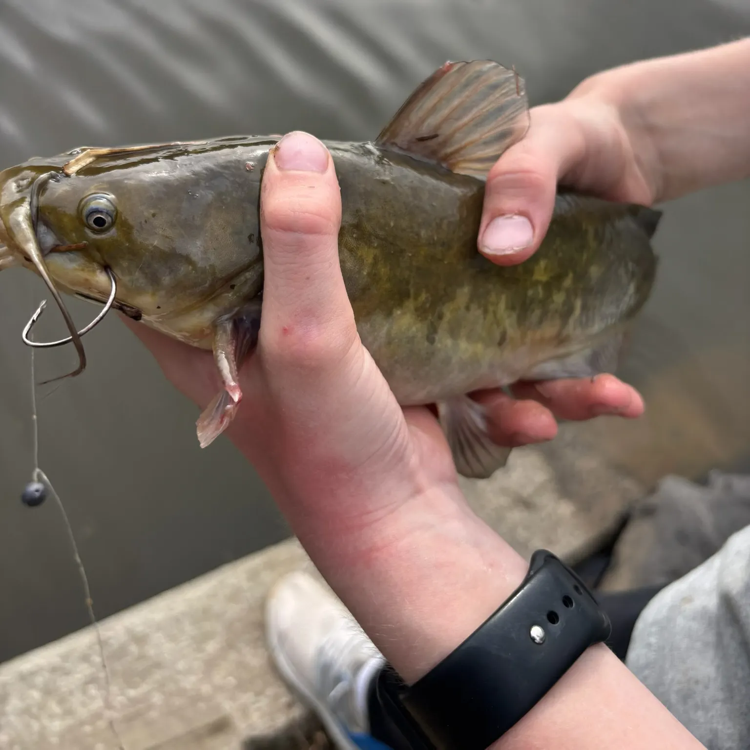 catch