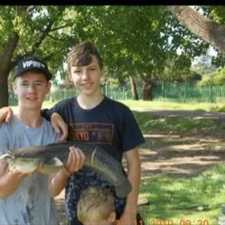 The most recent North African catfish catches on Fishbrain