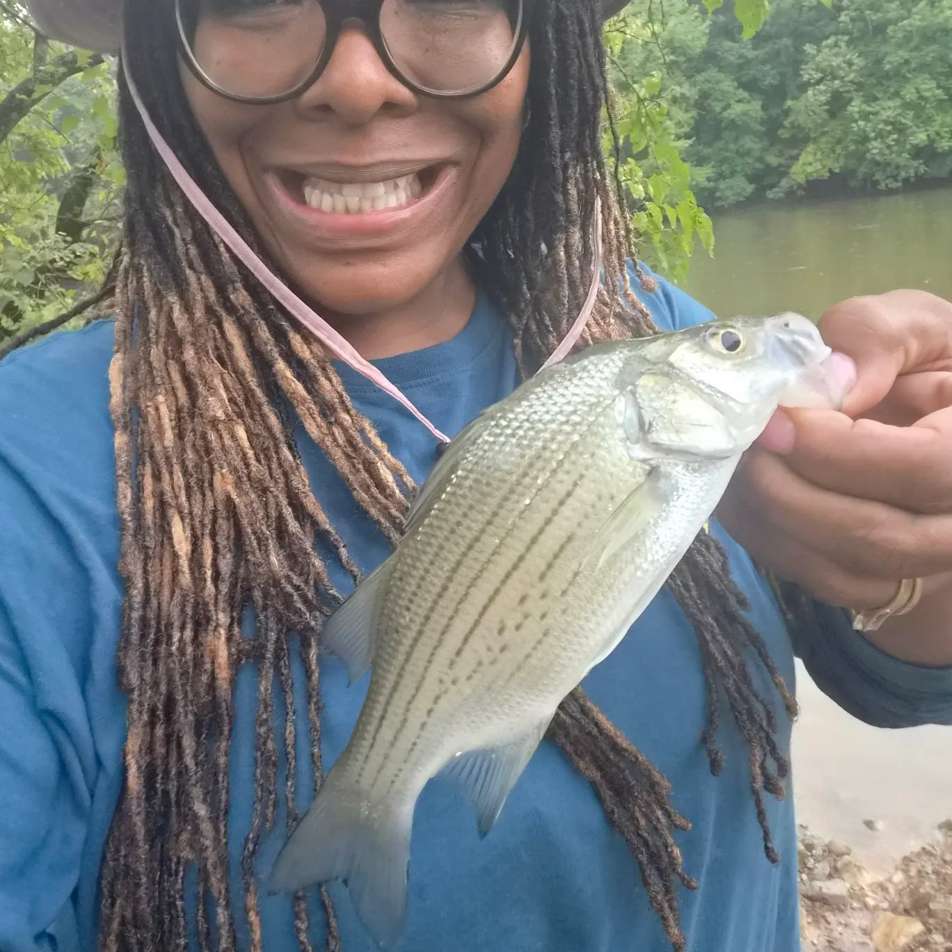 White bass caught on Fishbrain