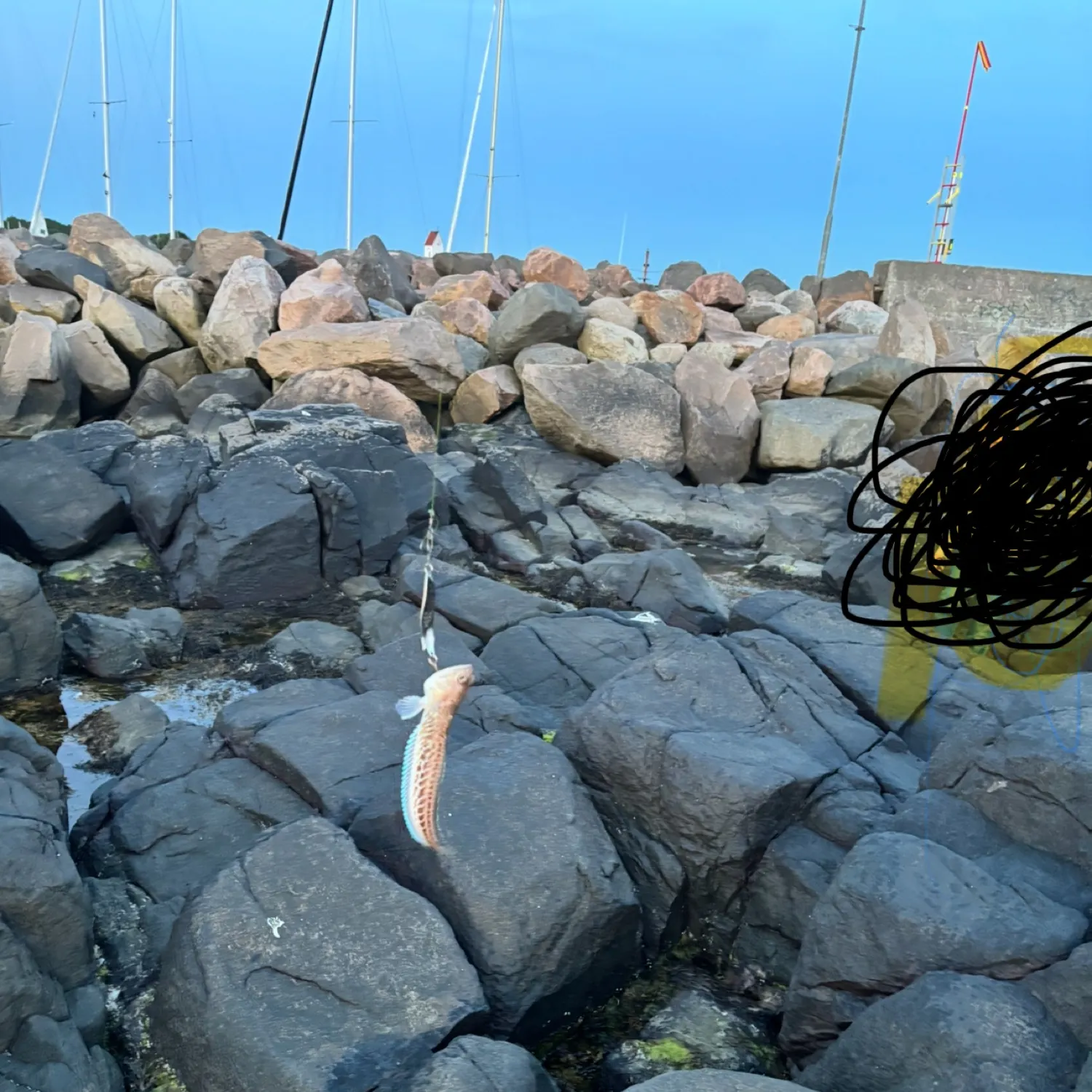 most liked catch image