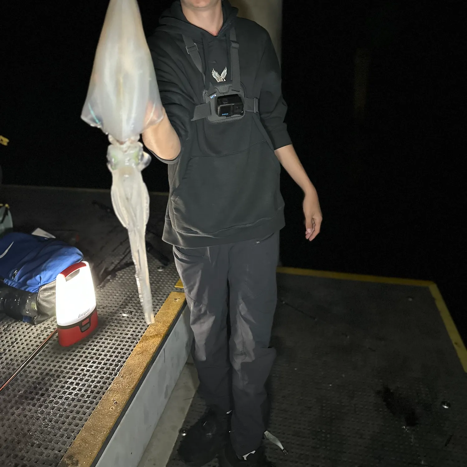 Southern calamari caught on Fishbrain