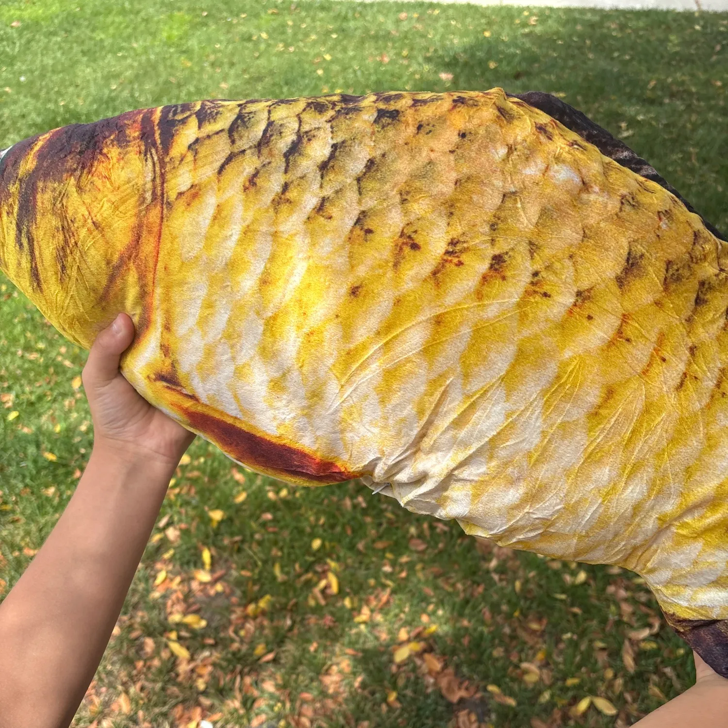 The most recent Goldfish catches on Fishbrain