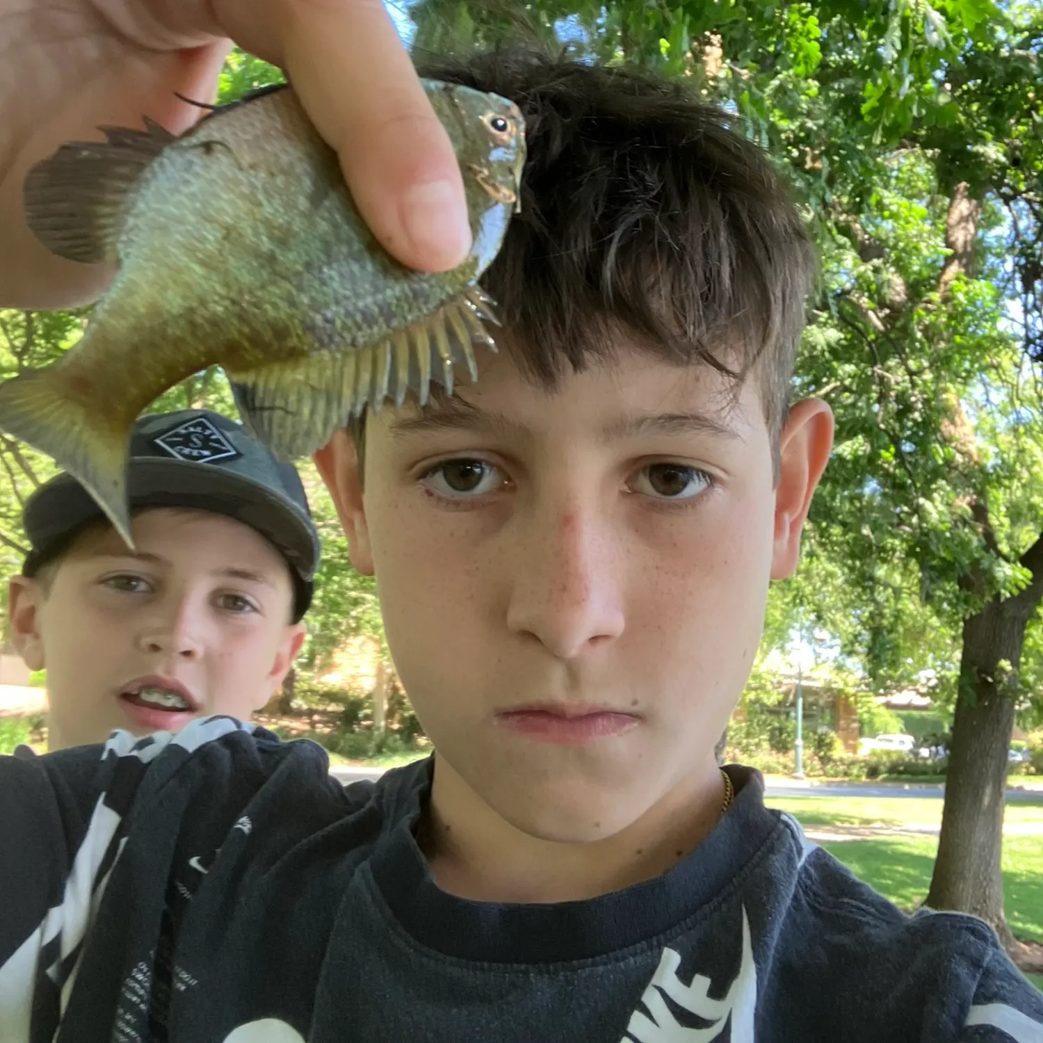 catch