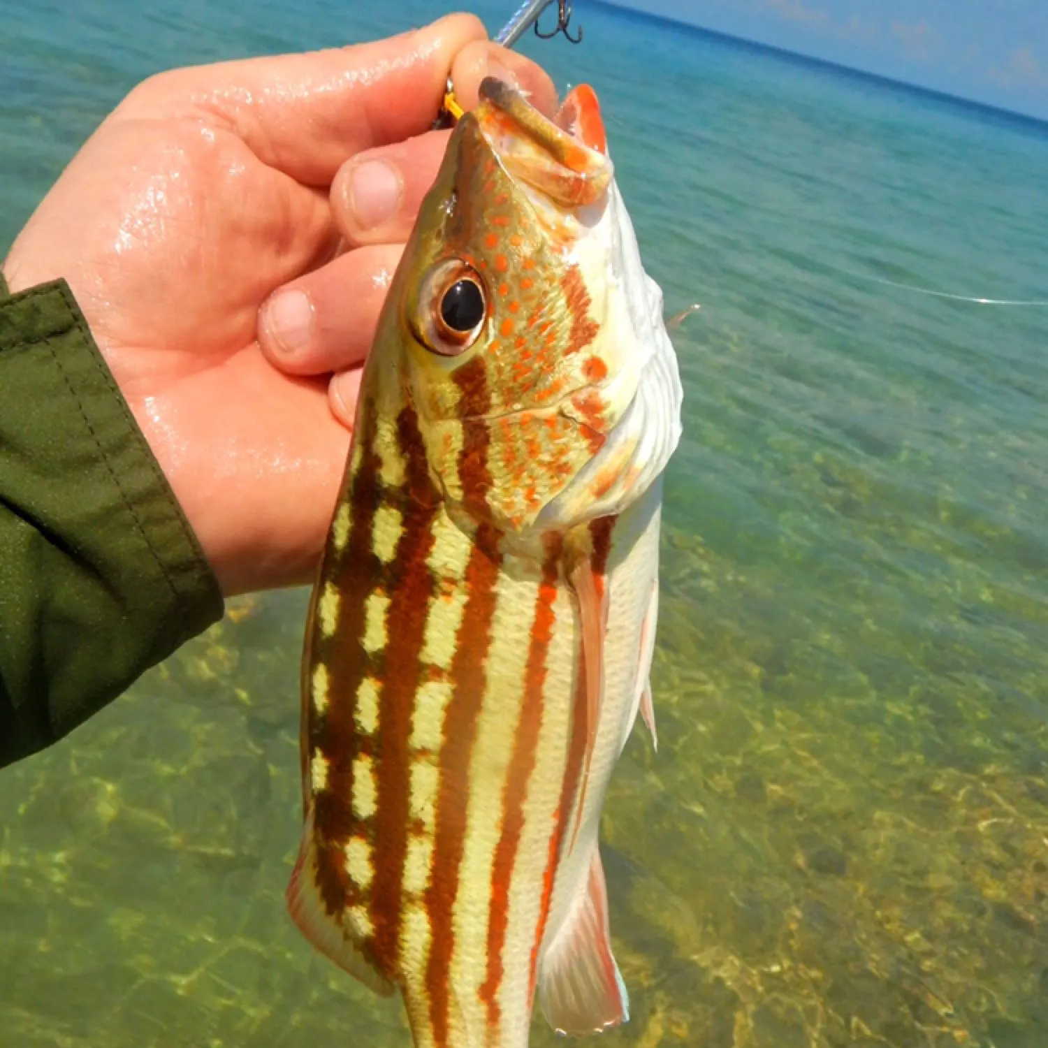 Fishing in India ️️️️ Explore the best fishing spots and areas