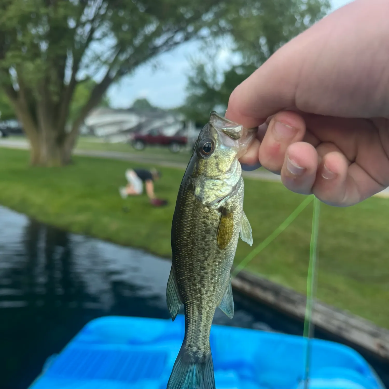 catch