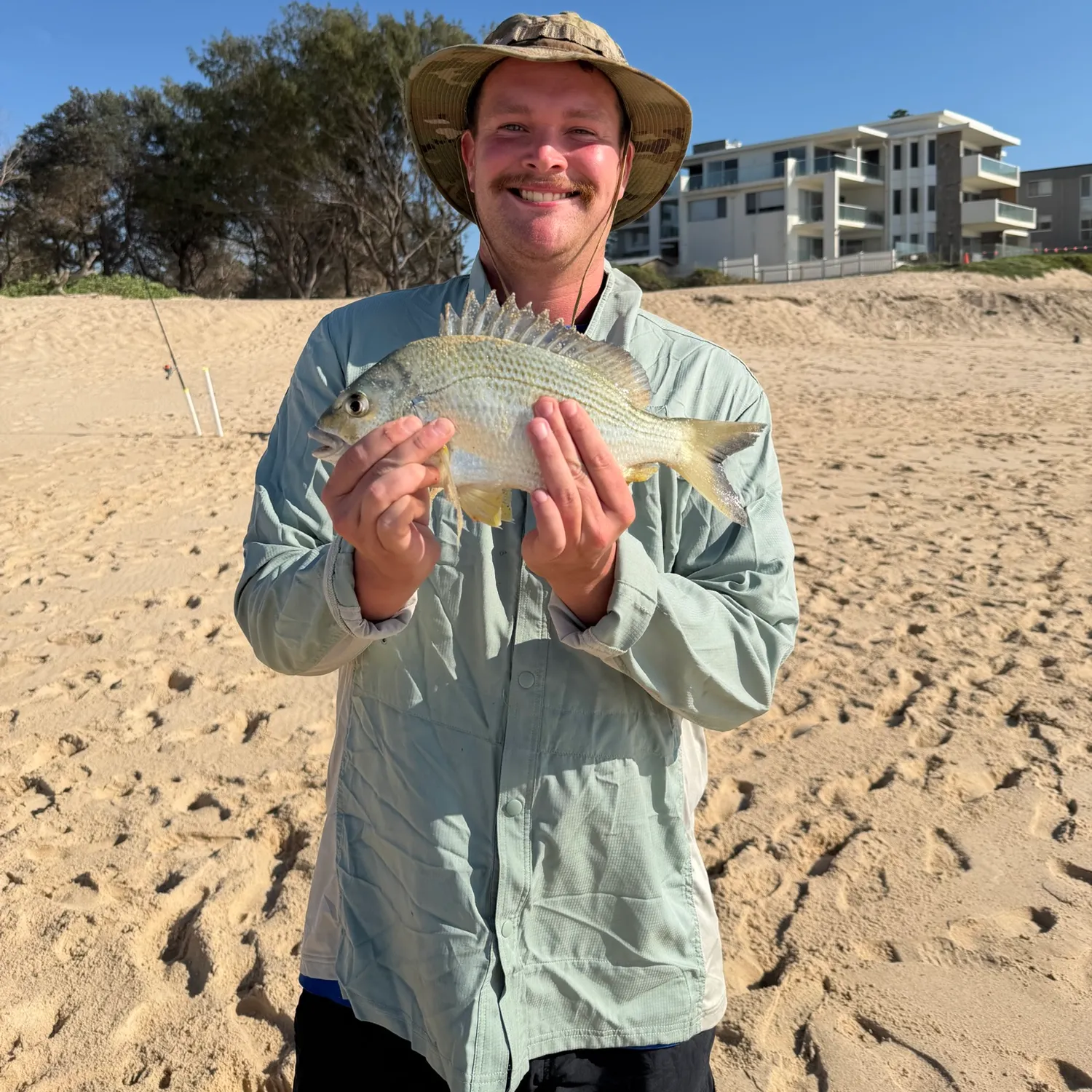 Southern black bream caught on Fishbrain