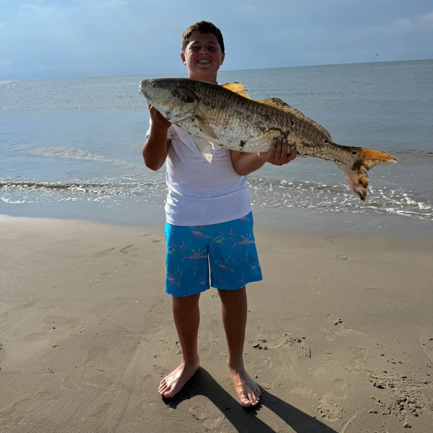 Red drum caught on Fishbrain