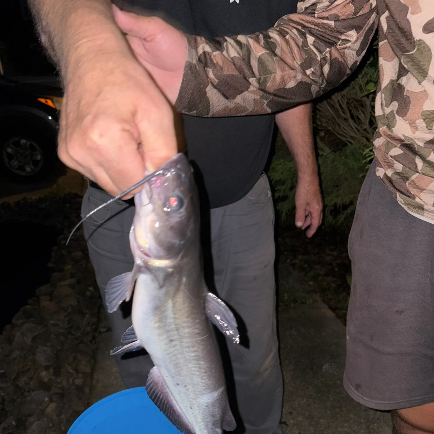 catch