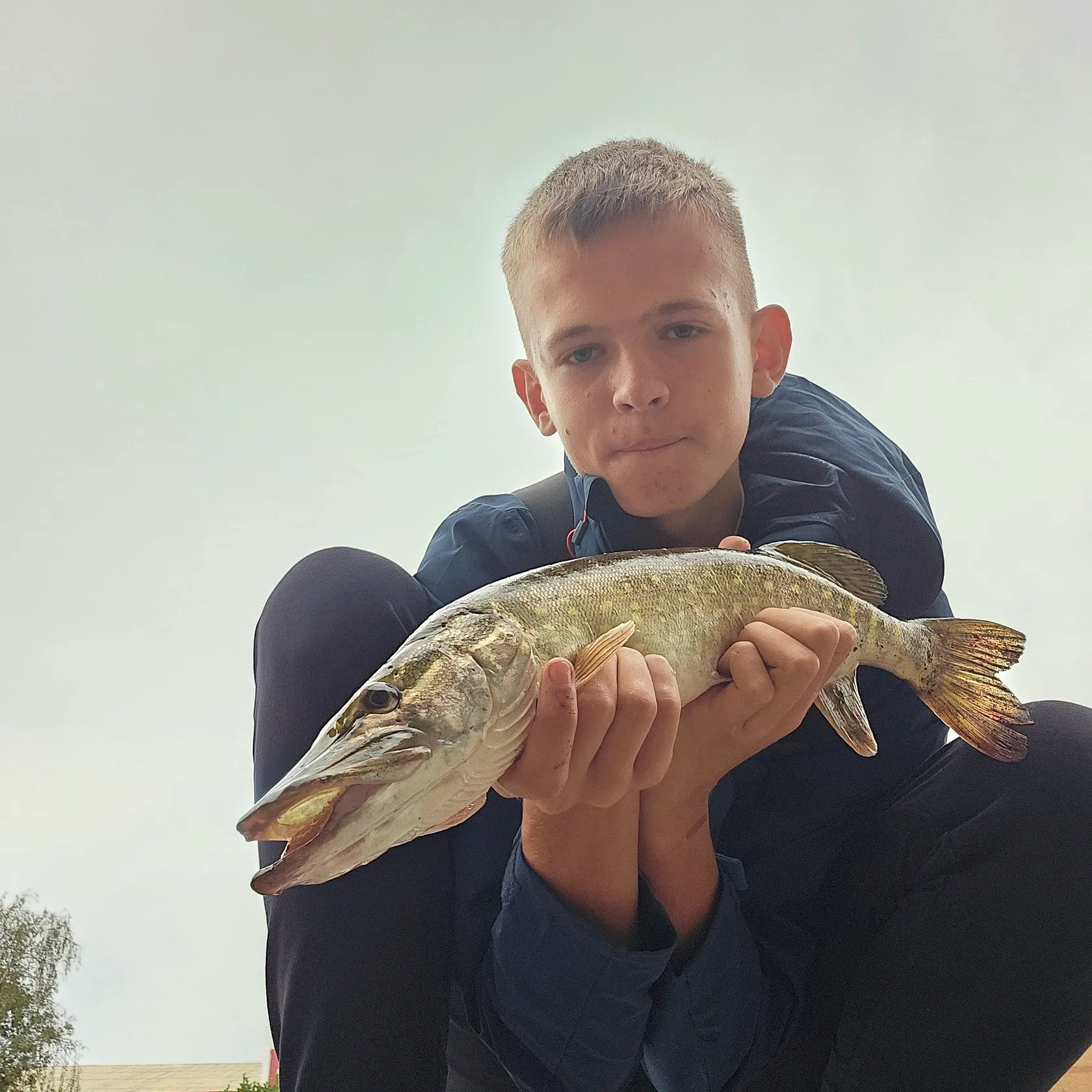 Northern pike caught on Fishbrain