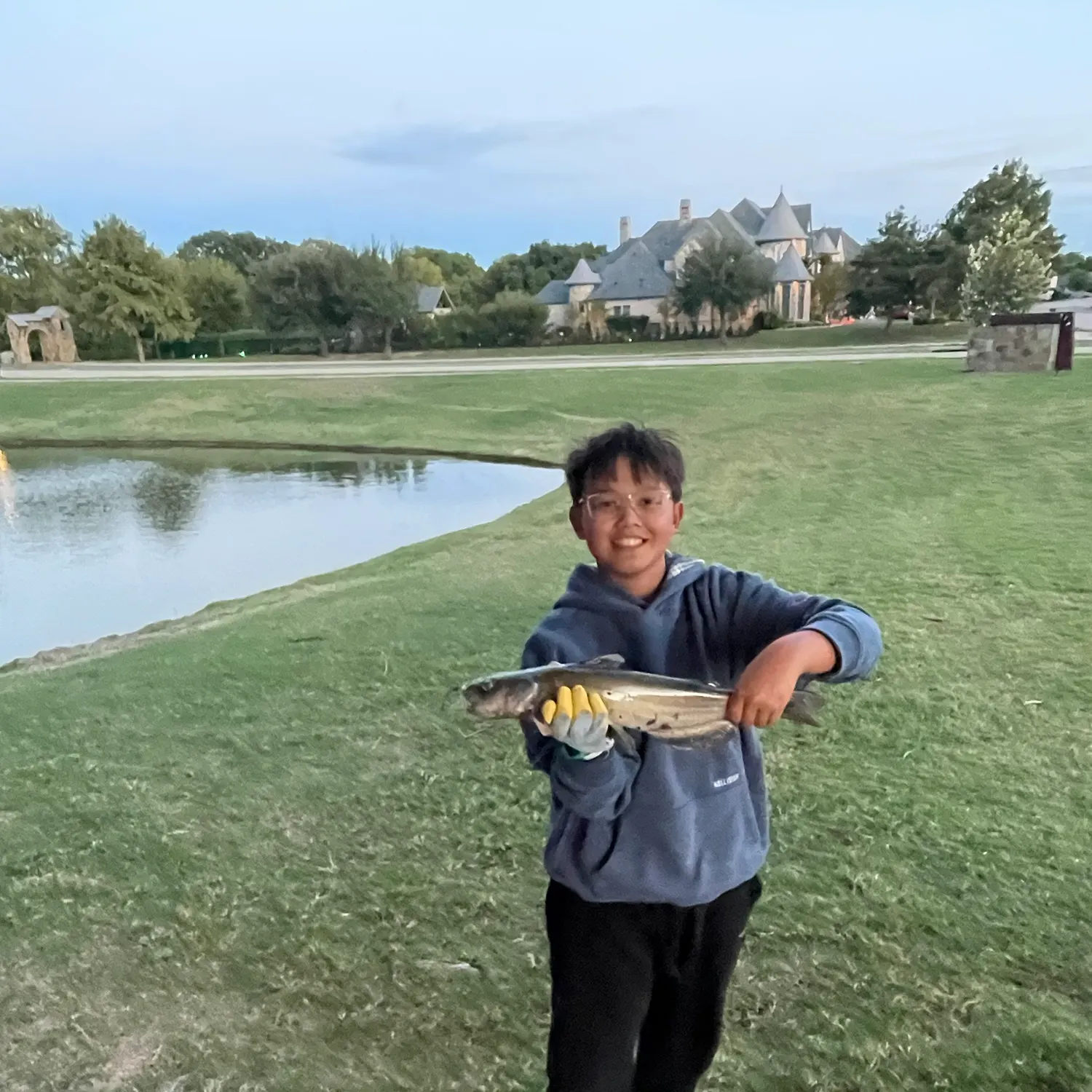 Channel catfish caught on Fishbrain
