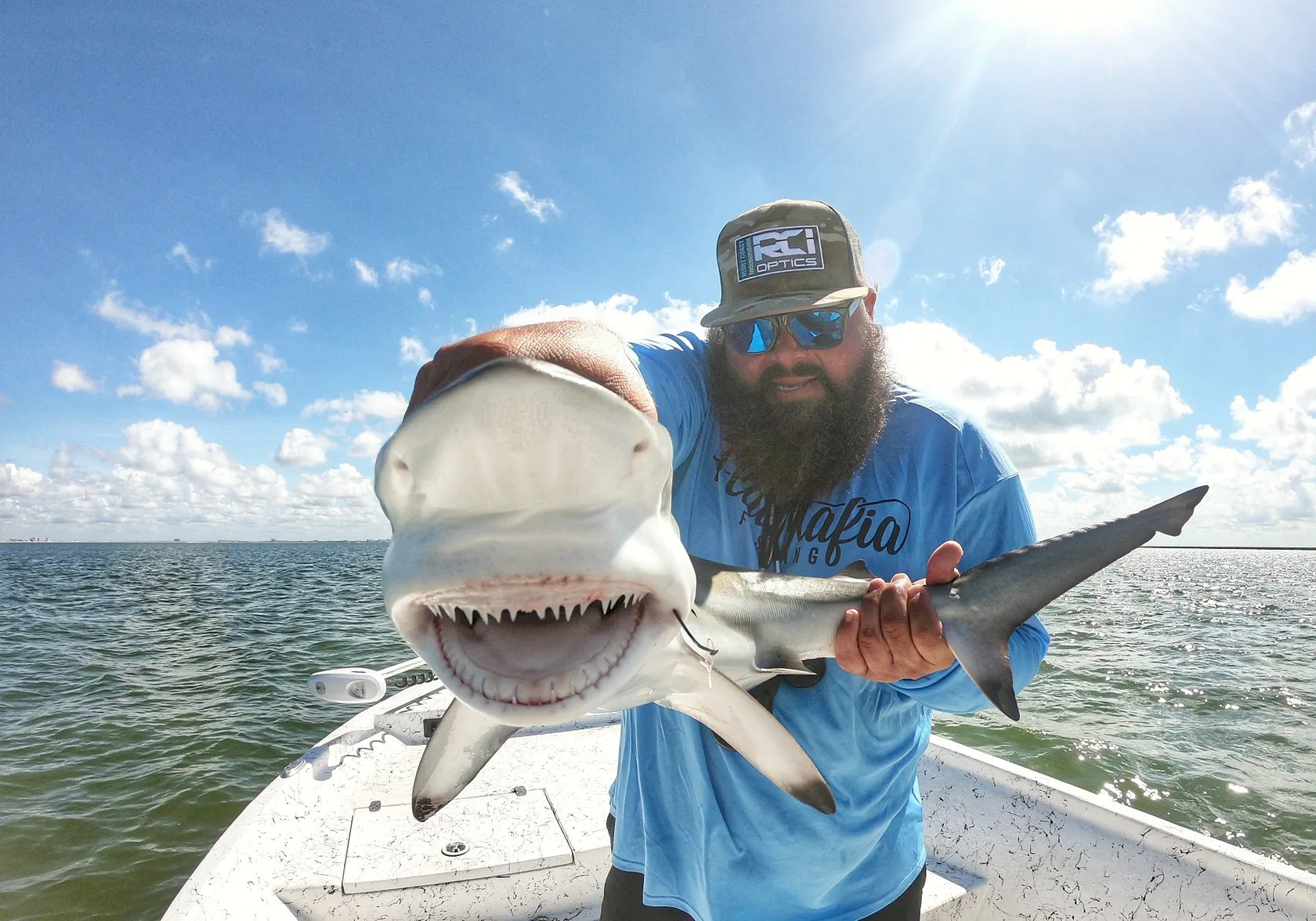 Blacktip shark