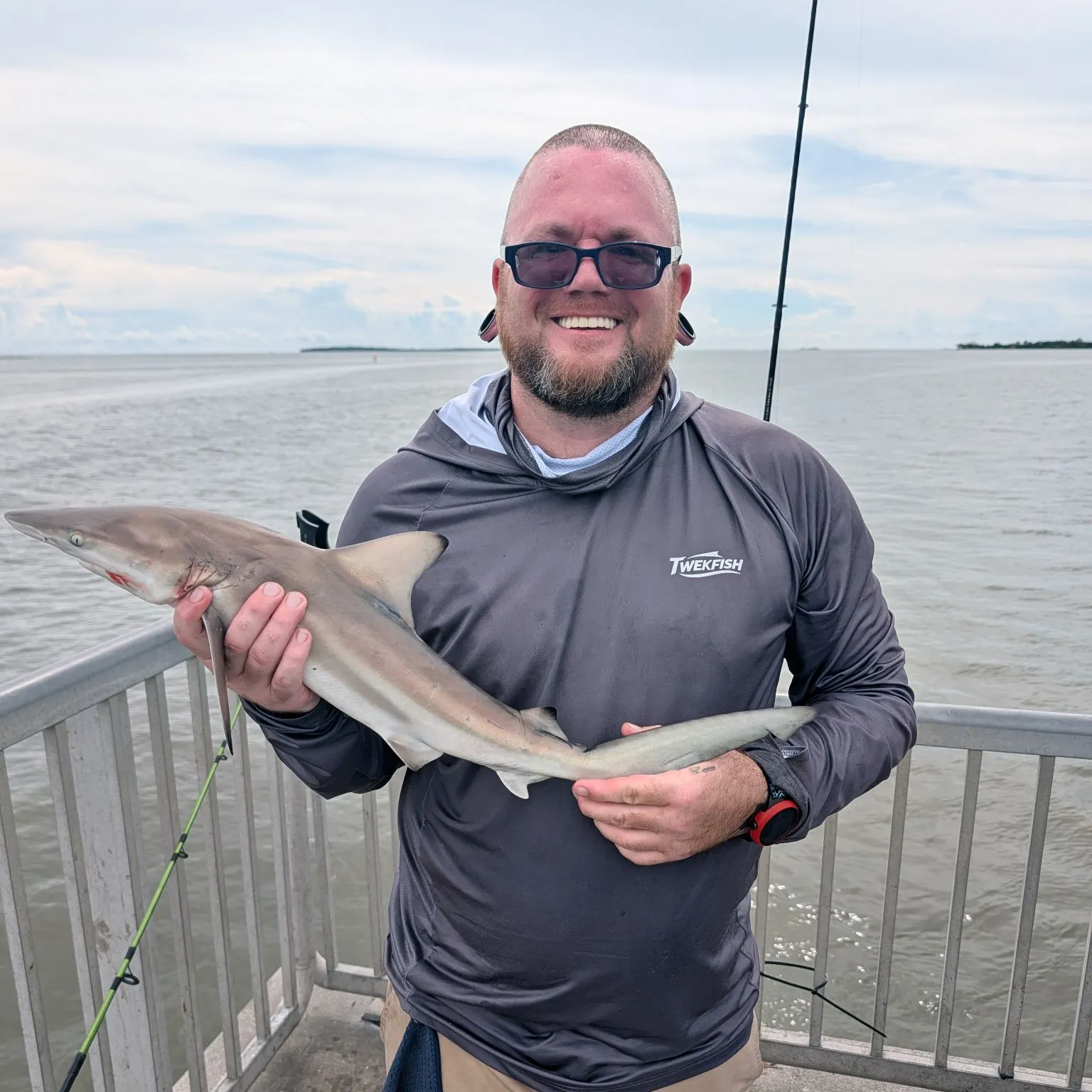 Blacktip shark caught on Fishbrain