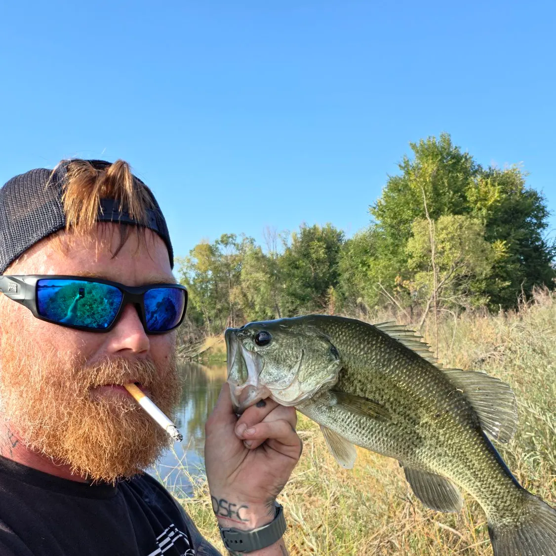 Largemouth bass caught on Fishbrain