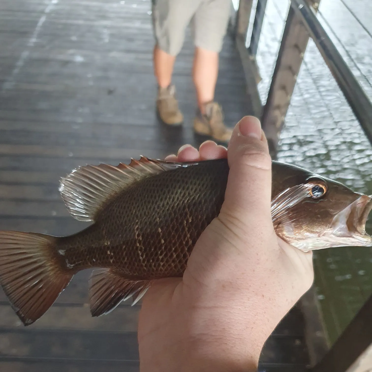 most liked catch image