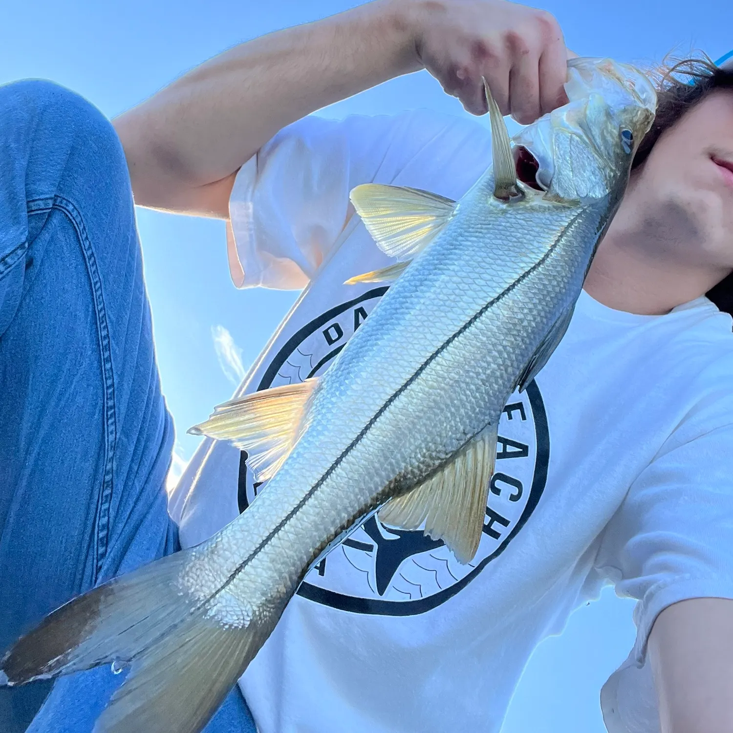 Common snook caught on Fishbrain