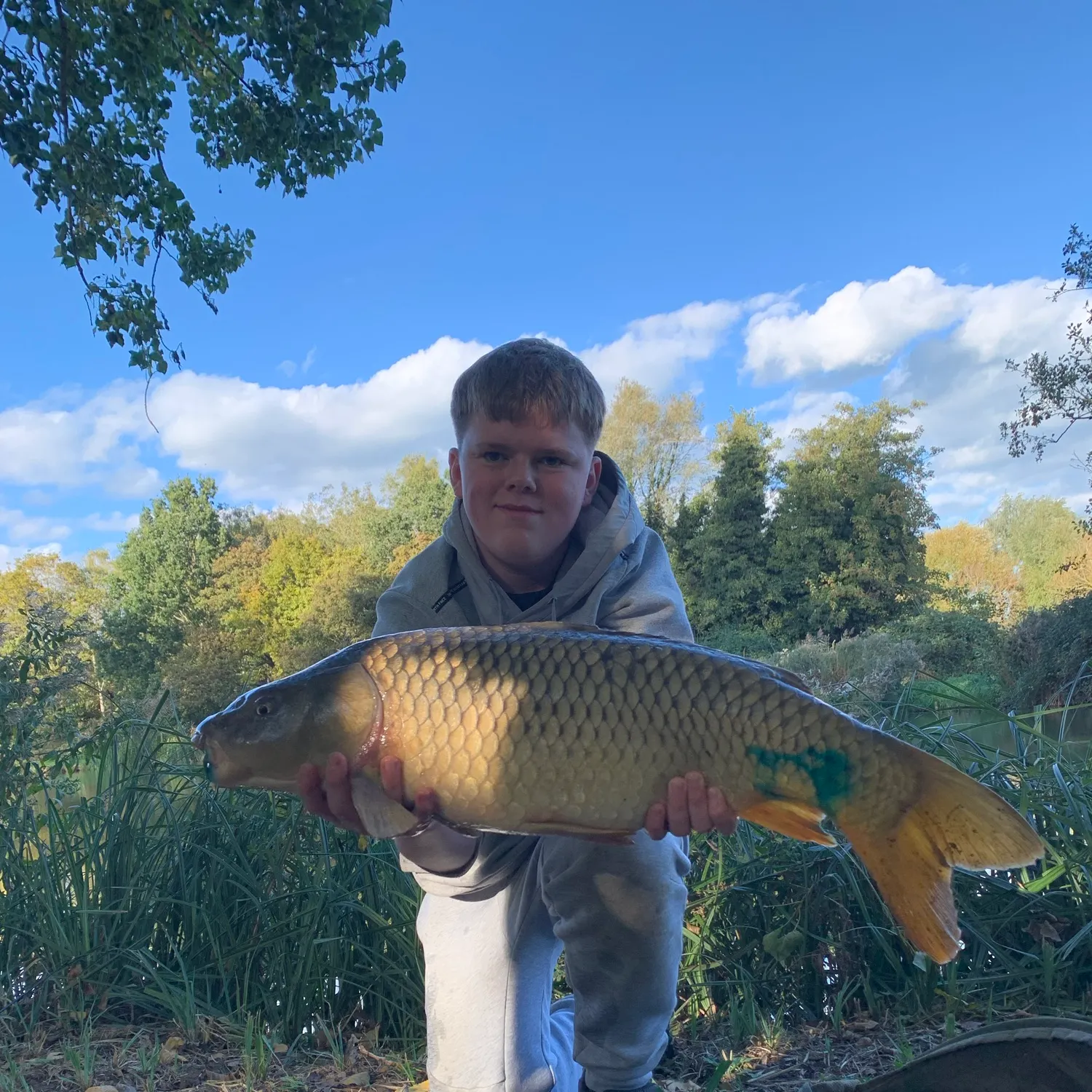 Common carp caught on Fishbrain